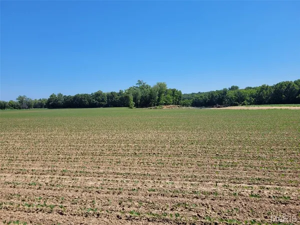 $699,000 | 0 Old Cove Road, St. Clair, MO 63077