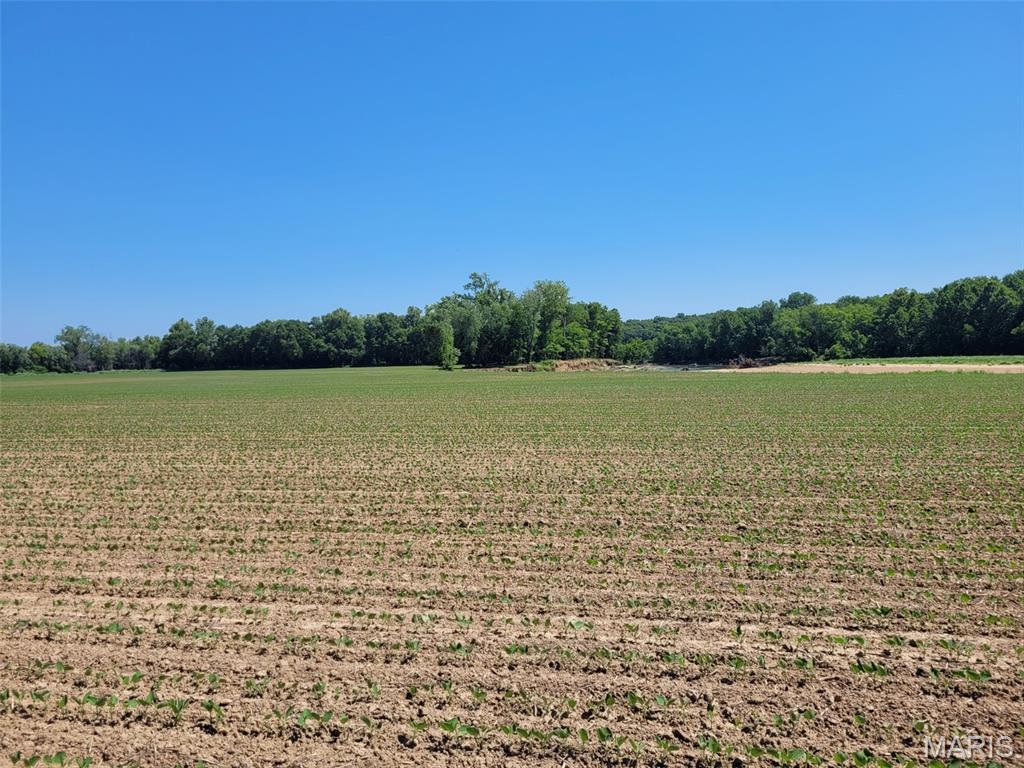 0 Old Cove Road St. Clair, MO 63077 - Photo 4 of 35