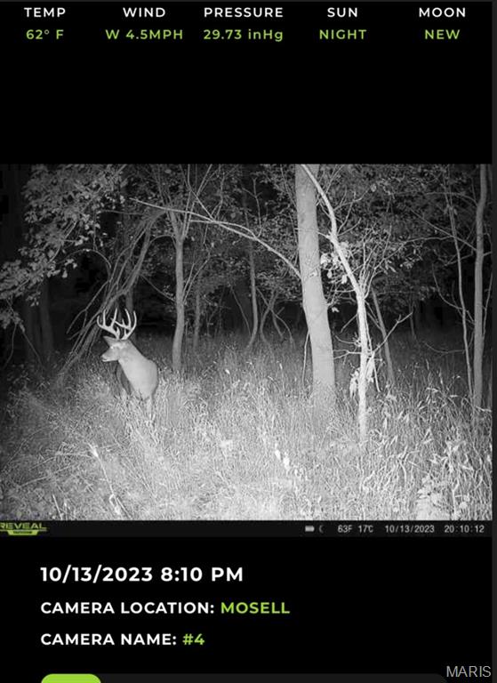 0 Old Cove Road St. Clair, MO 63077 - Photo 9 of 35