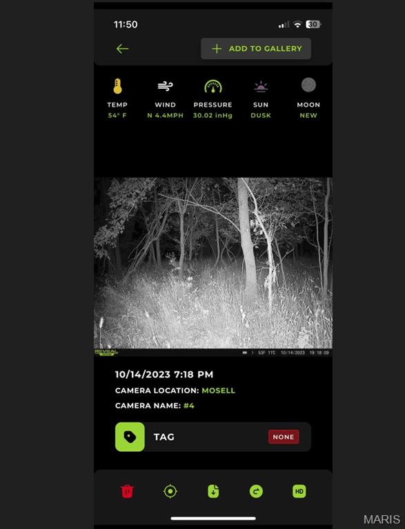 0 Old Cove Road St. Clair, MO 63077 - Photo 10 of 35