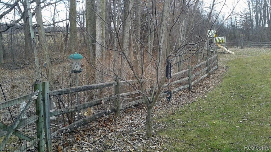 10390 Palmer Road Maybee, MI 48159 - Photo 38 of 39 backyard 5.jpg