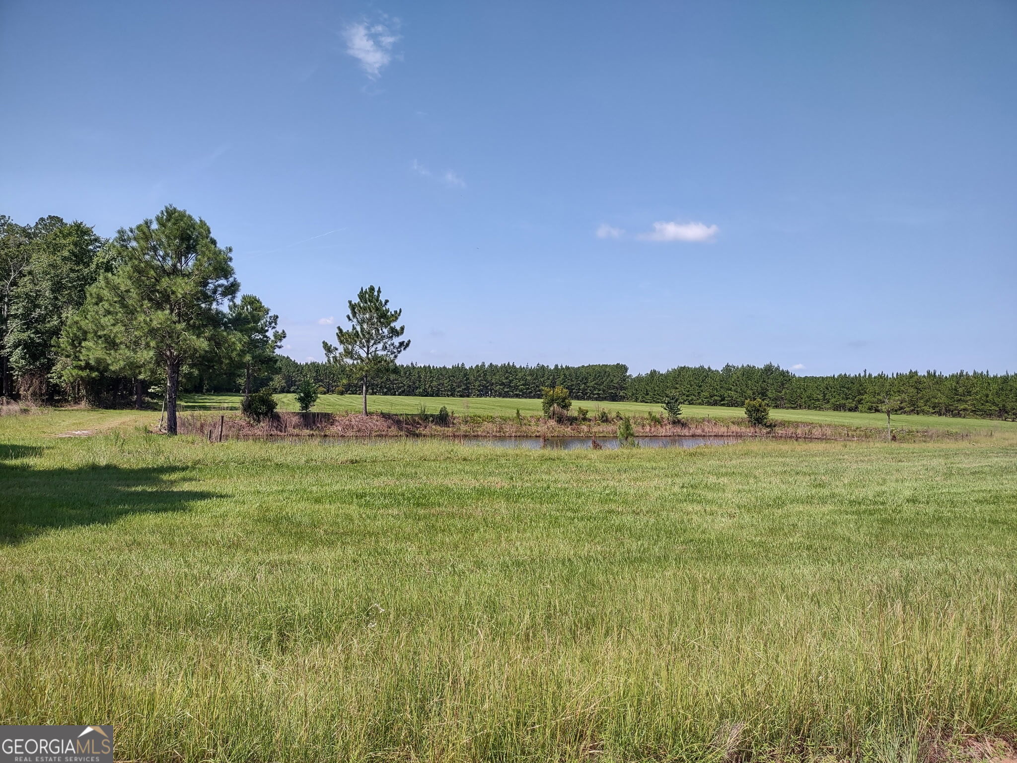 680 Porter's Landing Road Clyo, GA 31303 - Photo 11 of 50 a view of a lake with a yard