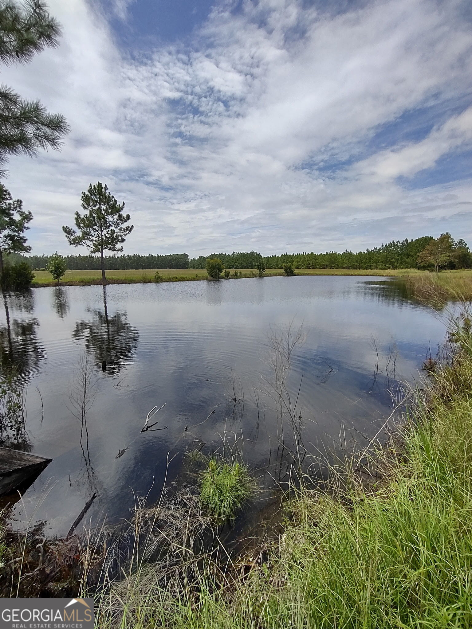680 Porter's Landing Road Clyo, GA 31303 - Photo 12 of 50 a view of a lake with a lake