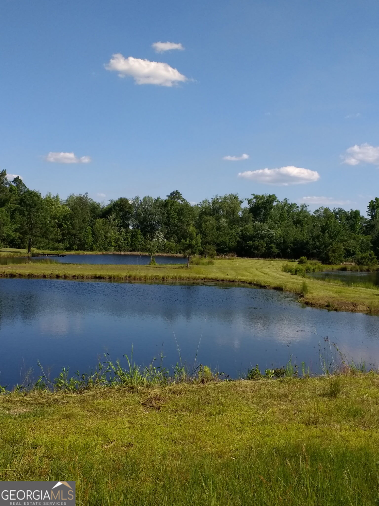 680 Porter's Landing Road Clyo, GA 31303 - Photo 13 of 50 a view of a lake with houses in the background
