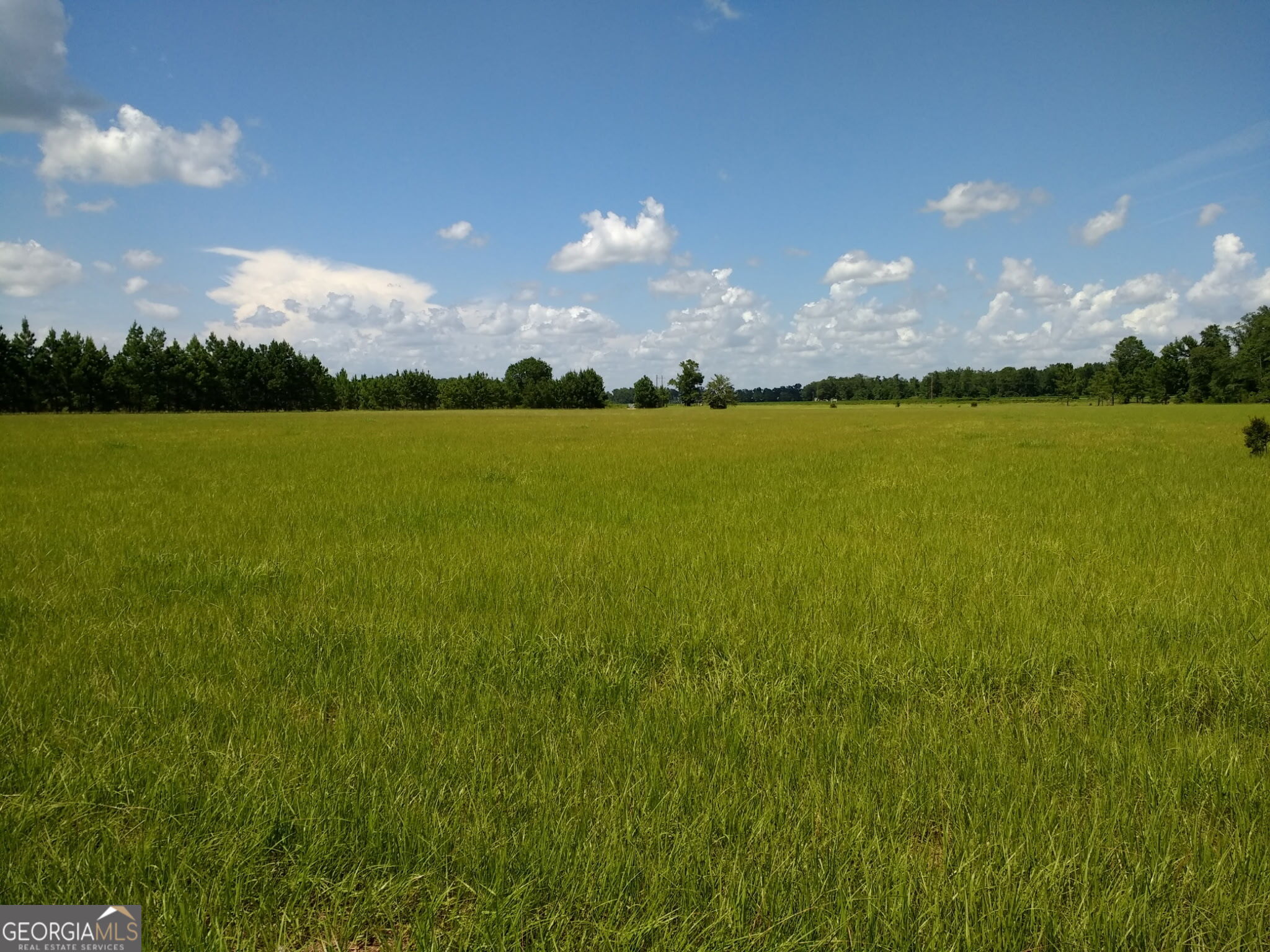 680 Porter's Landing Road Clyo, GA 31303 - Photo 15 of 50 a view of an ocean and a yard