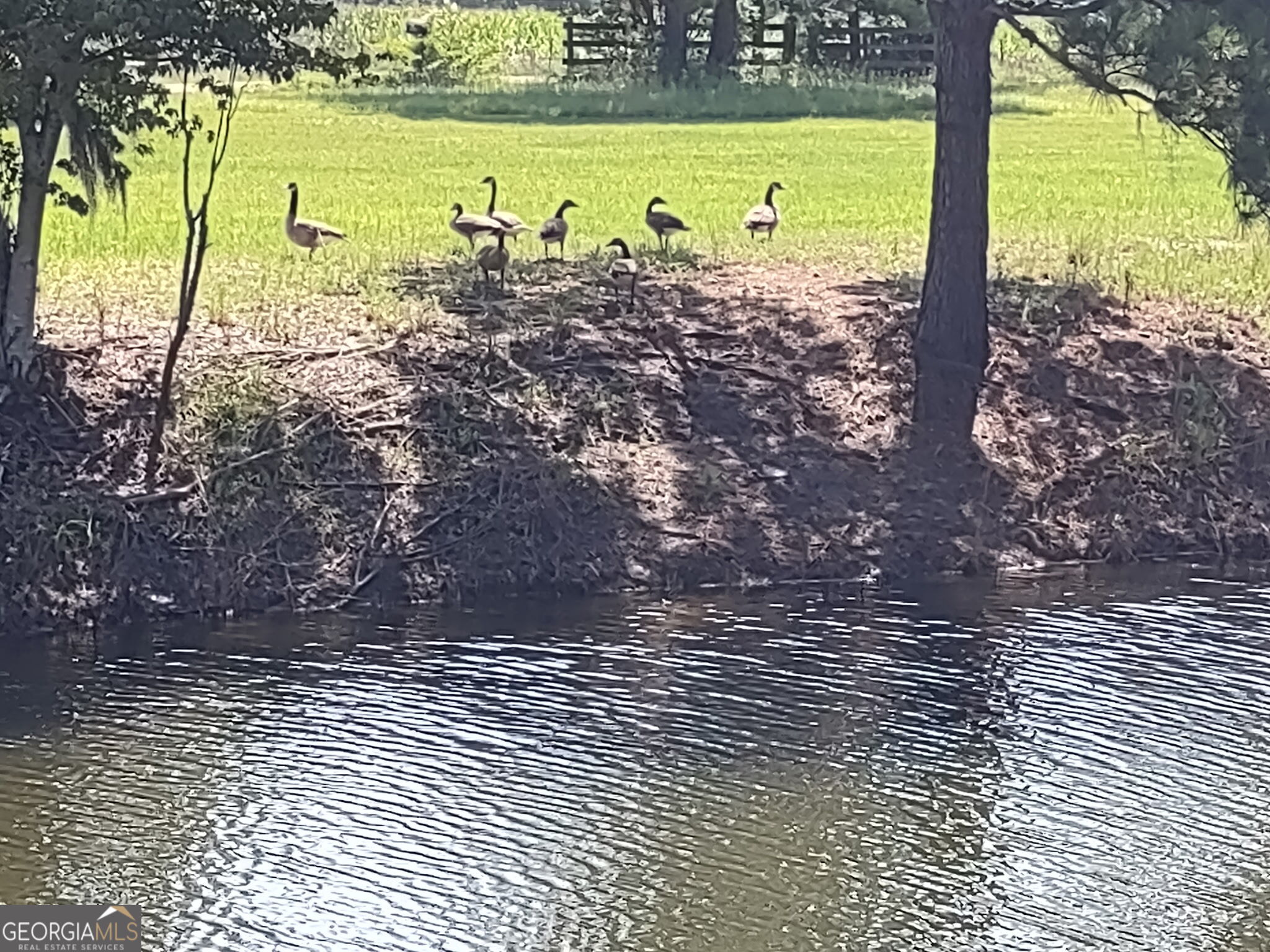 680 Porter's Landing Road Clyo, GA 31303 - Photo 16 of 50 a view of a yard with an outdoor space