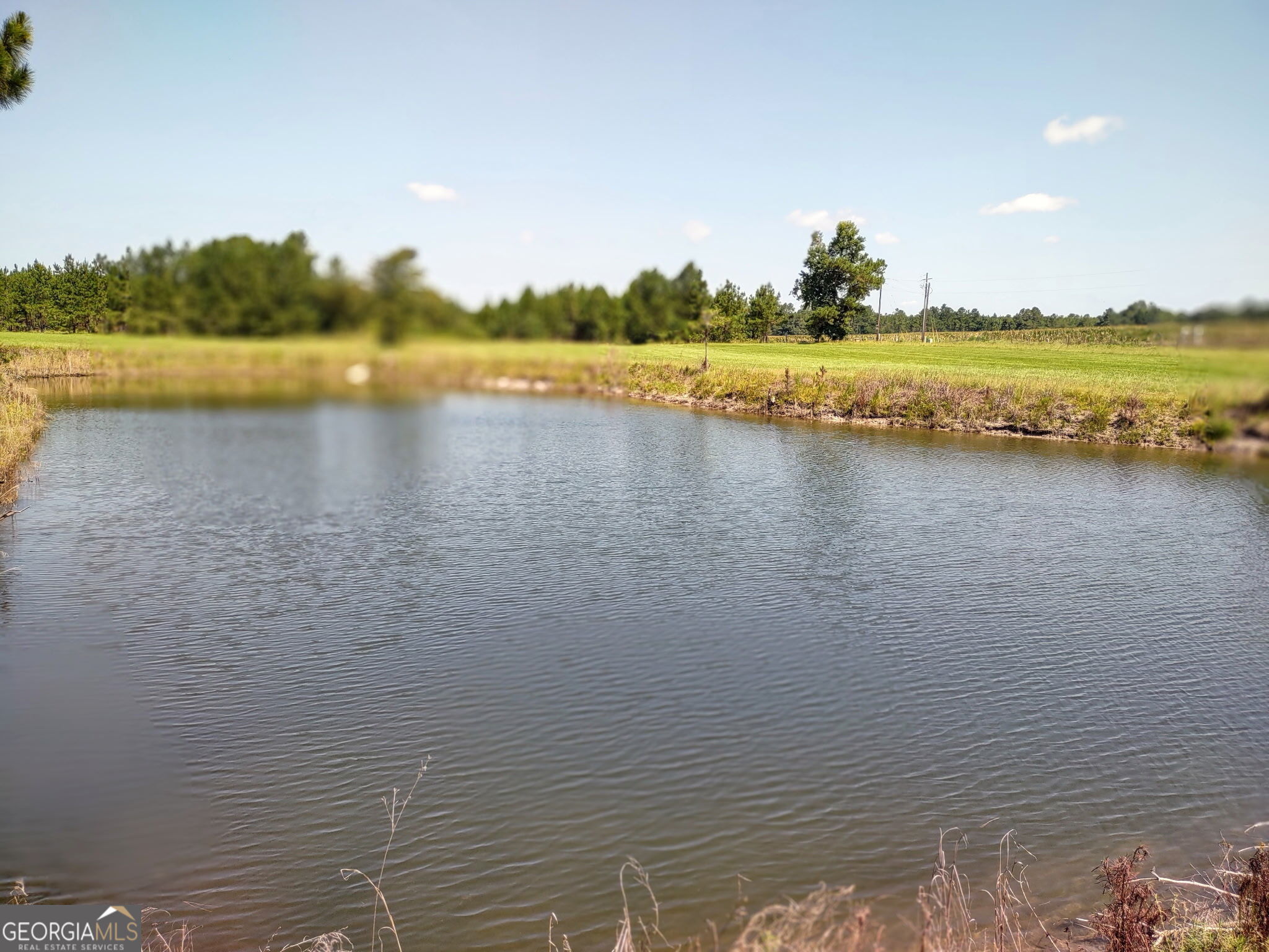 680 Porter's Landing Road Clyo, GA 31303 - Photo 17 of 50 a view of a lake with houses in the back
