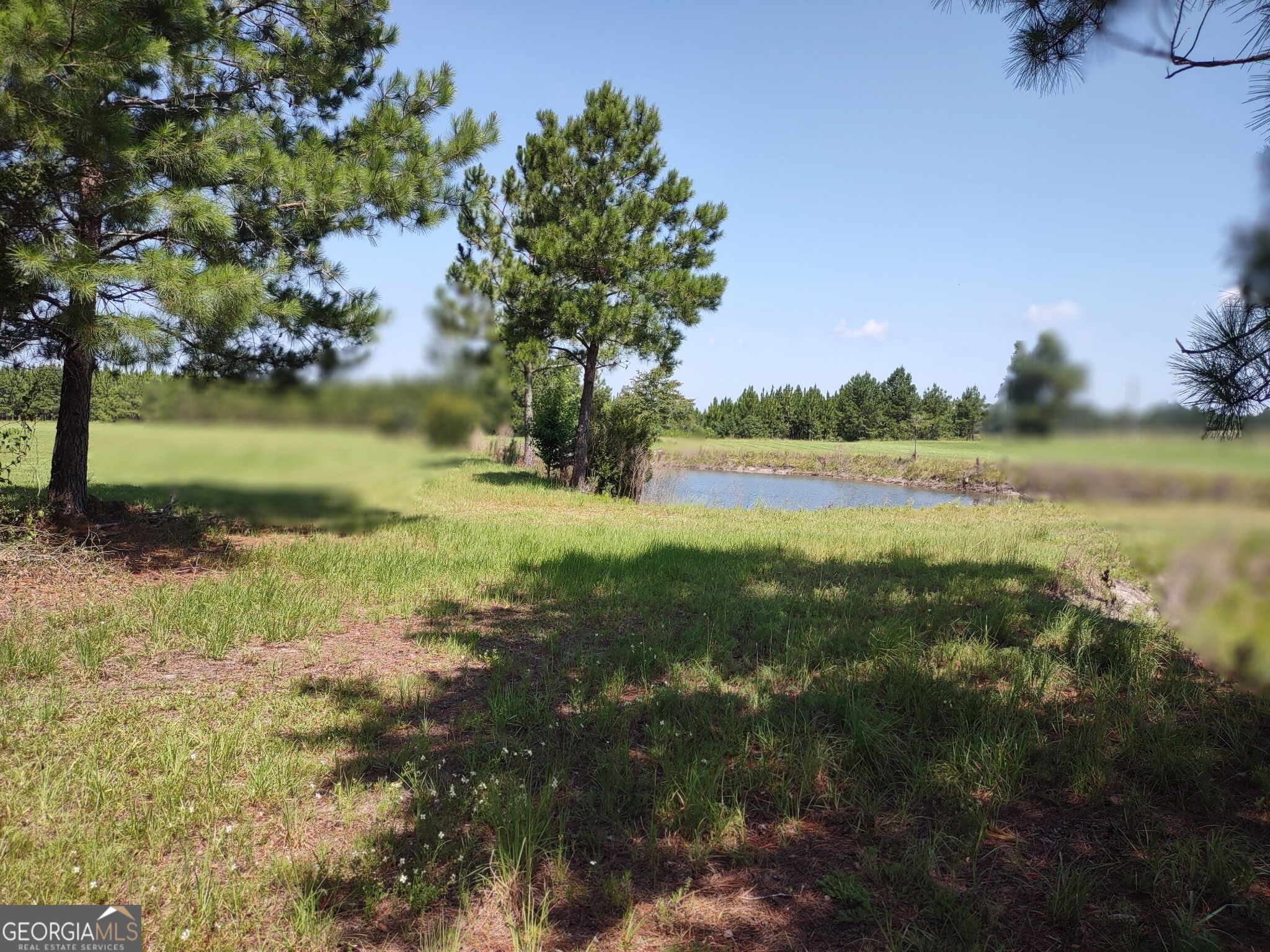 680 Porter's Landing Road Clyo, GA 31303 - Photo 18 of 50 a view of a lake with houses in the background