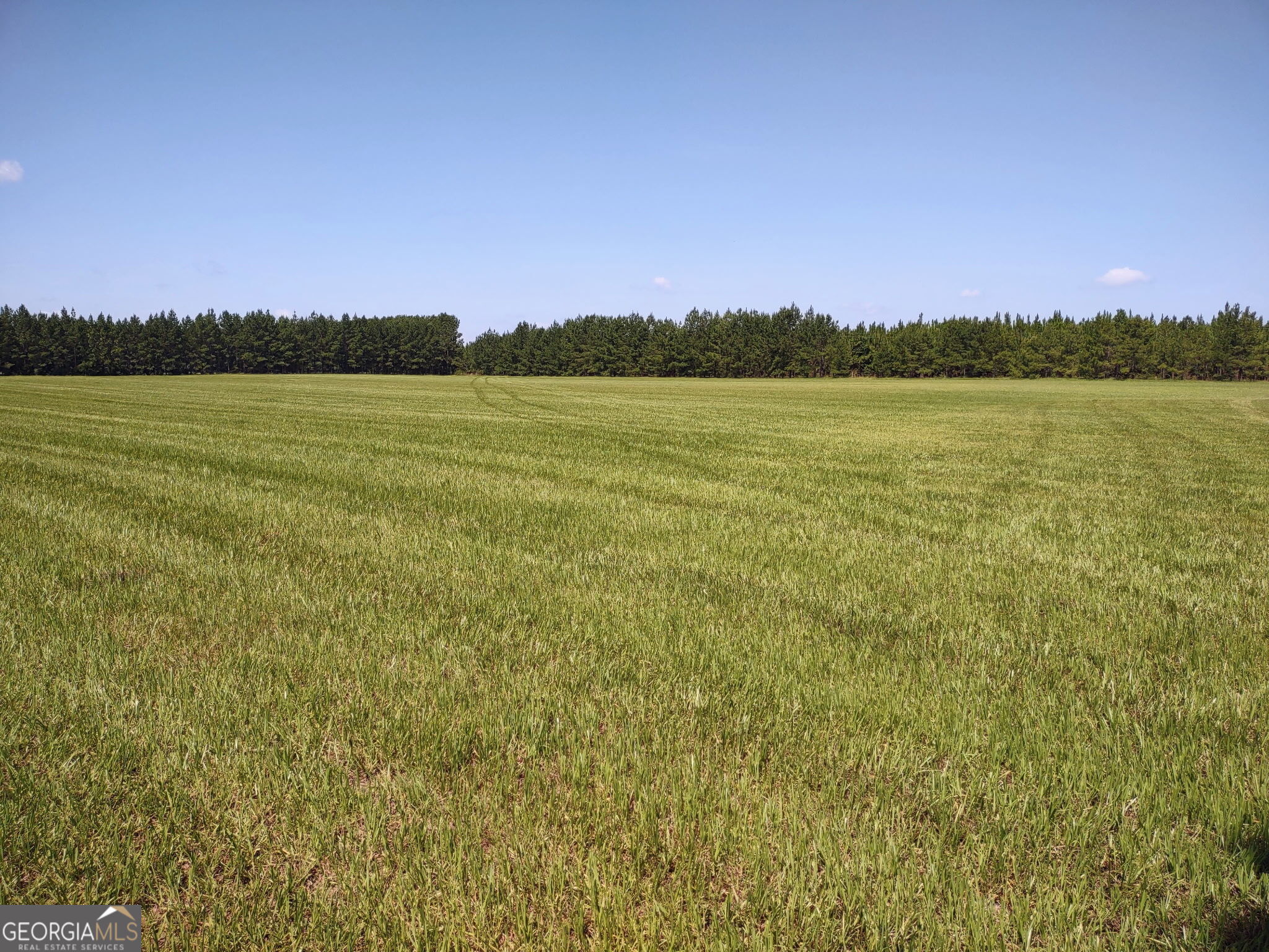 680 Porter's Landing Road Clyo, GA 31303 - Photo 19 of 50 a view of a lake and sunset