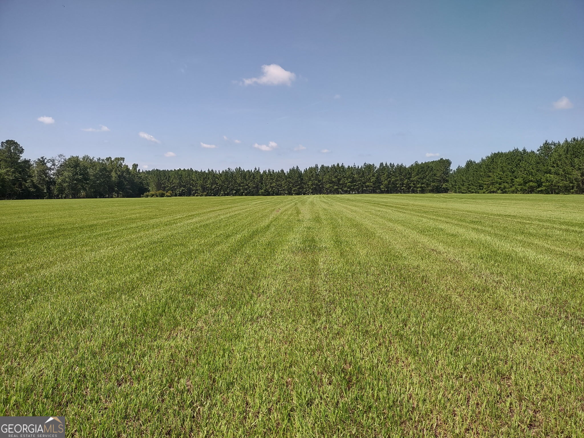 680 Porter's Landing Road Clyo, GA 31303 - Photo 2 of 50 a view of an ocean and beach
