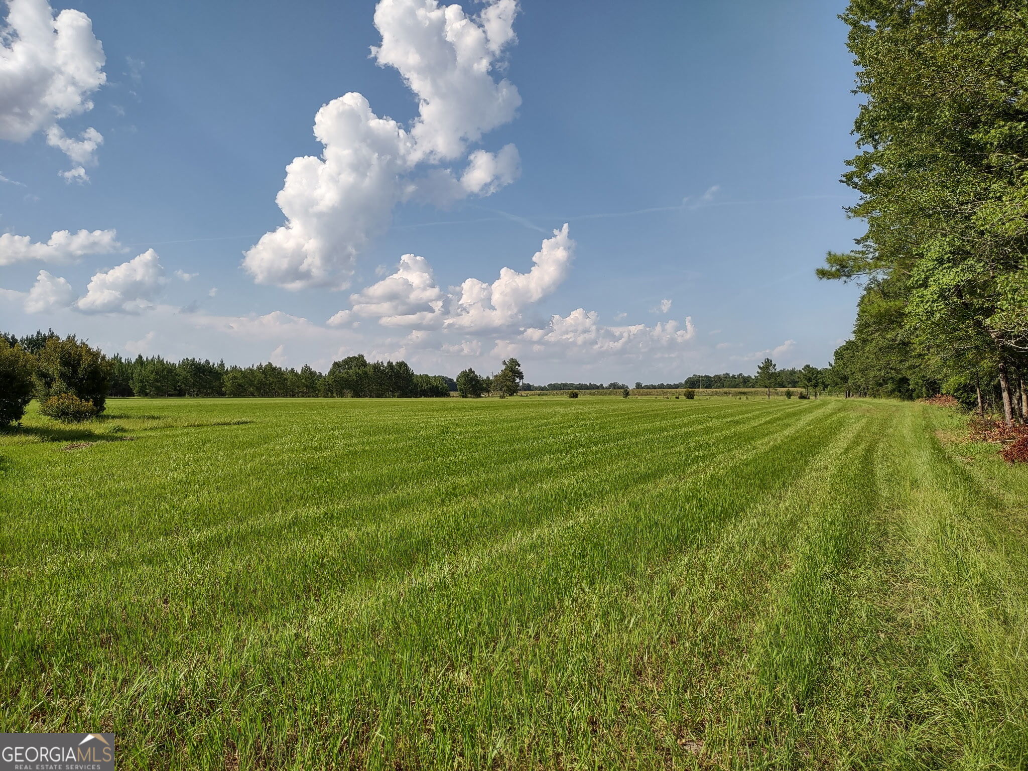 680 Porter's Landing Road Clyo, GA 31303 - Photo 23 of 50 a view of a city