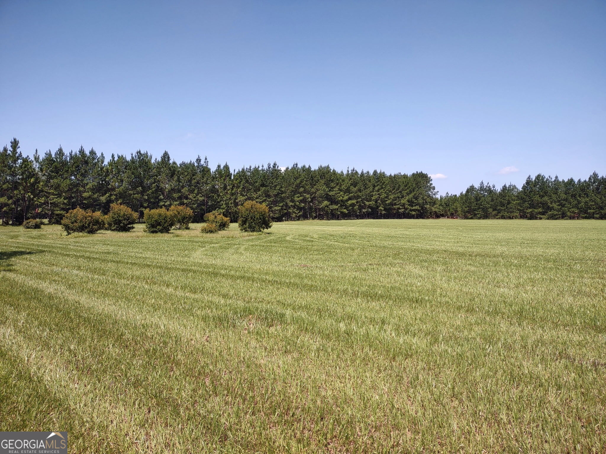 680 Porter's Landing Road Clyo, GA 31303 - Photo 24 of 50 a view of a field with an ocean