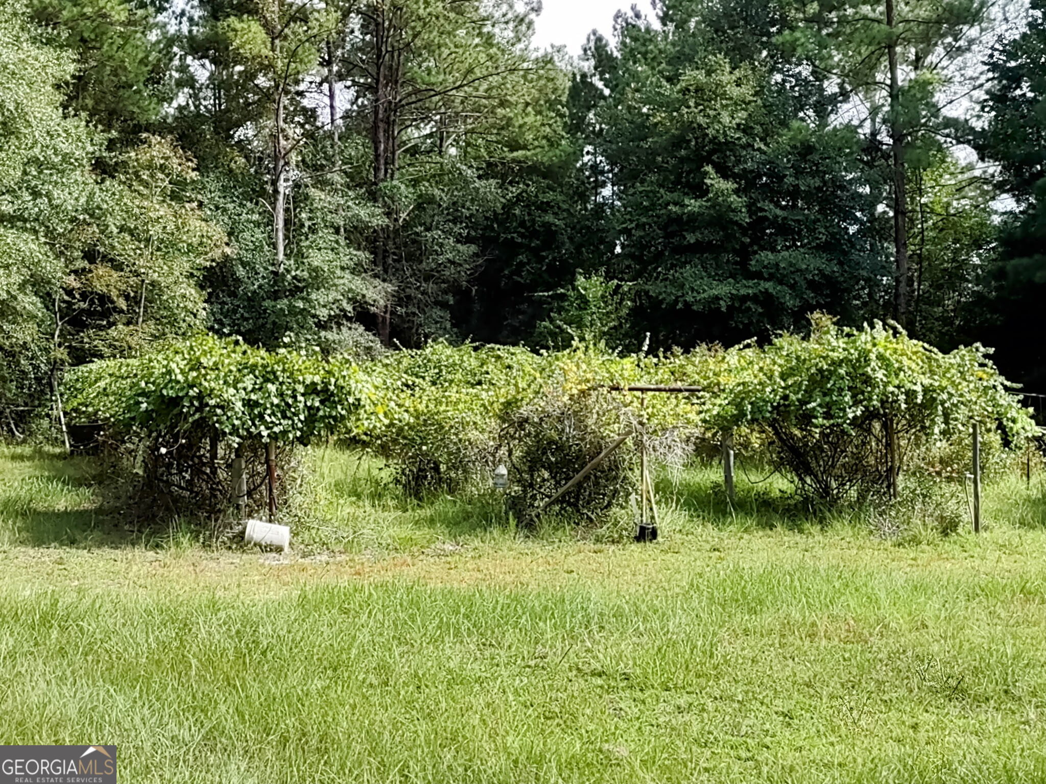 680 Porter's Landing Road Clyo, GA 31303 - Photo 26 of 50 a view of a garden