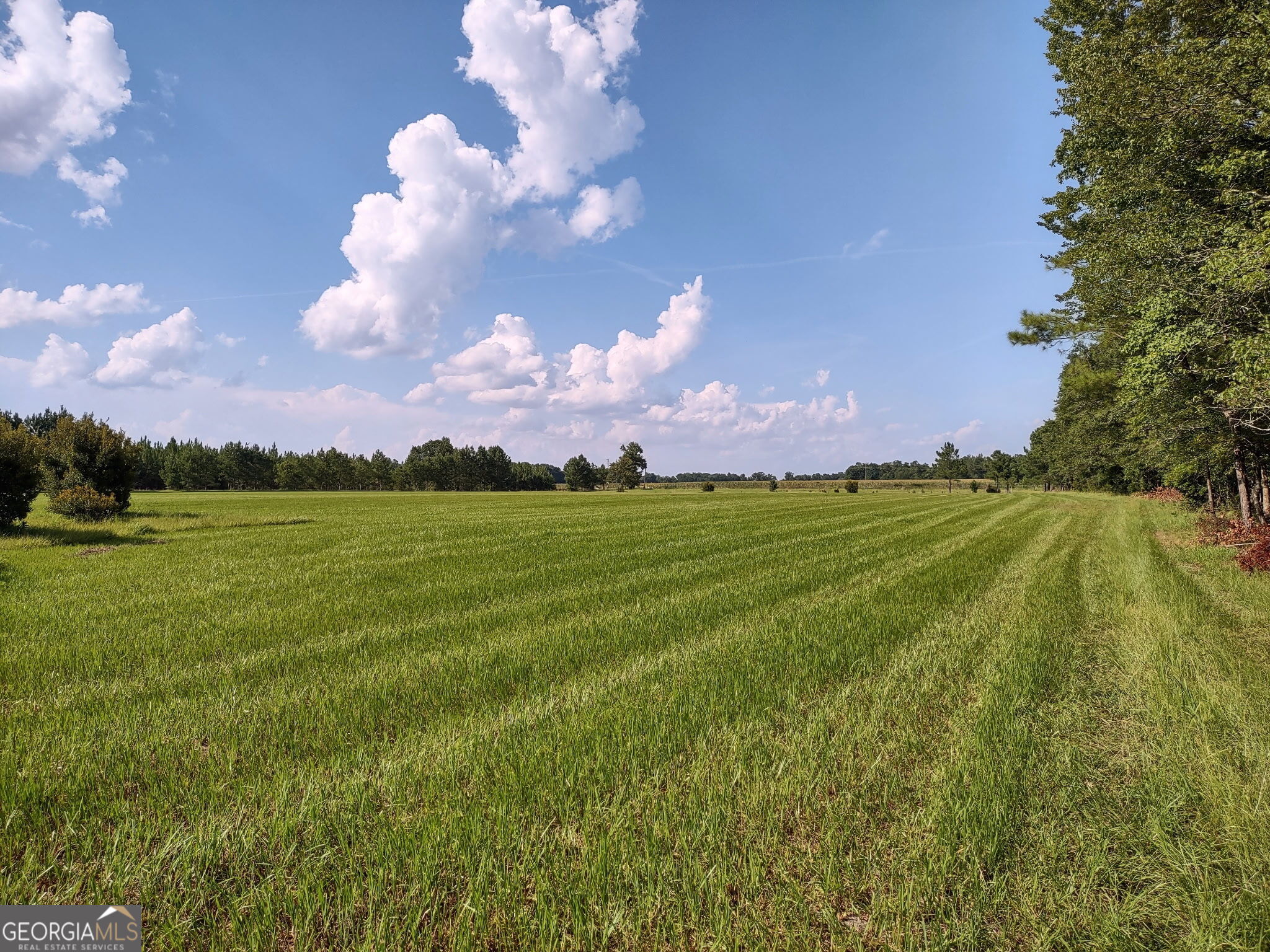 680 Porter's Landing Road Clyo, GA 31303 - Photo 29 of 50 a view of a lake and a houses