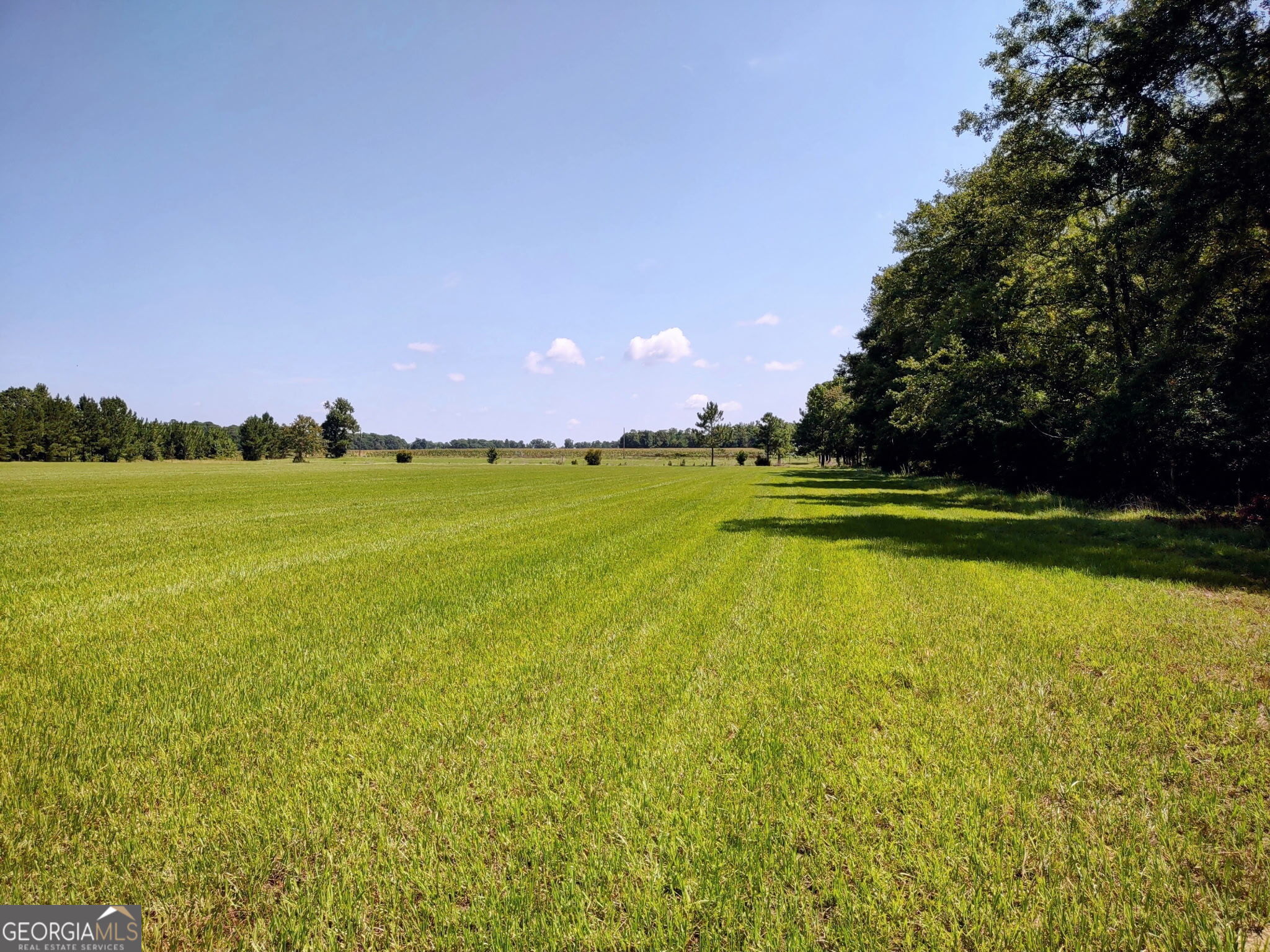 680 Porter's Landing Road Clyo, GA 31303 - Photo 30 of 50 a view of outdoor space and yard