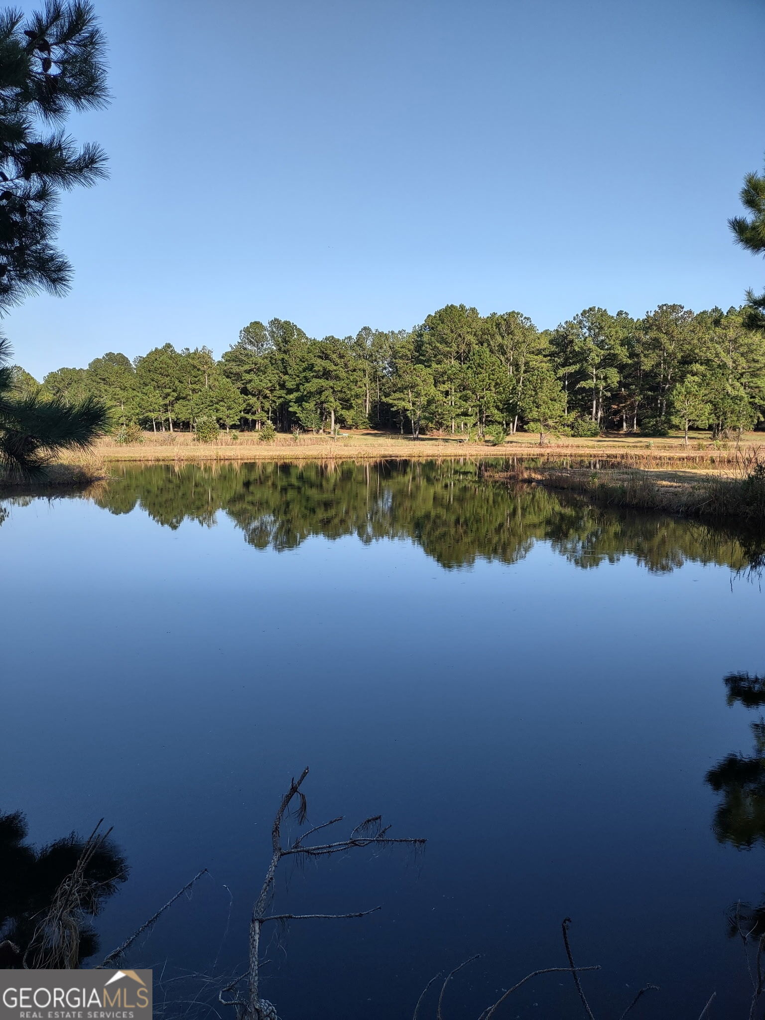 680 Porter's Landing Road Clyo, GA 31303 - Photo 3 of 50 a view of a lake with a city