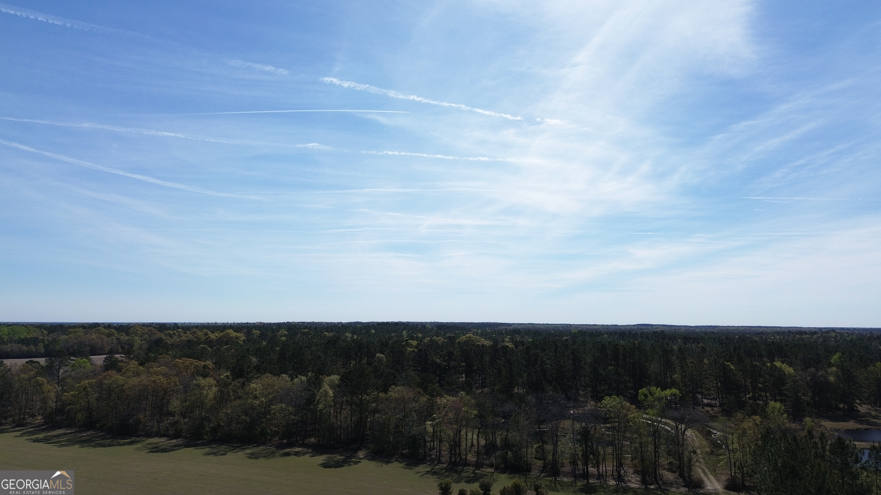 680 Porter's Landing Road Clyo, GA 31303 - Photo 32 of 50 a view of city and green space