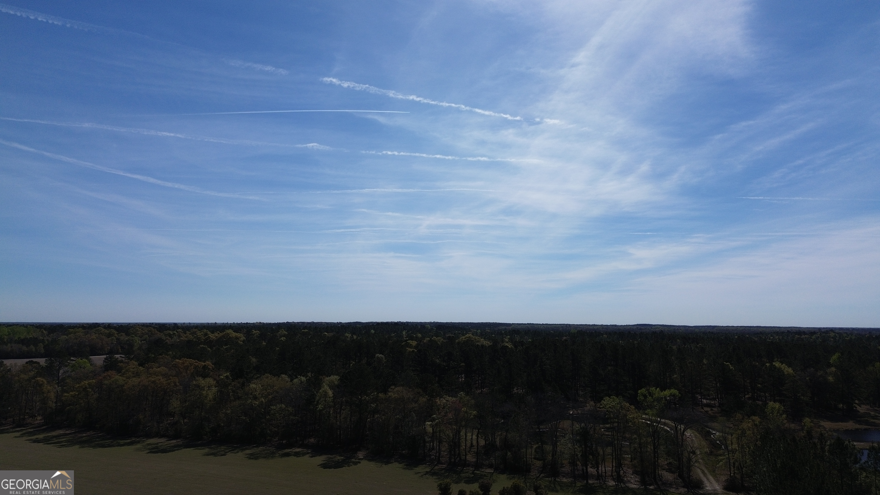680 Porter's Landing Road Clyo, GA 31303 - Photo 33 of 50 a view of outdoor space and yard