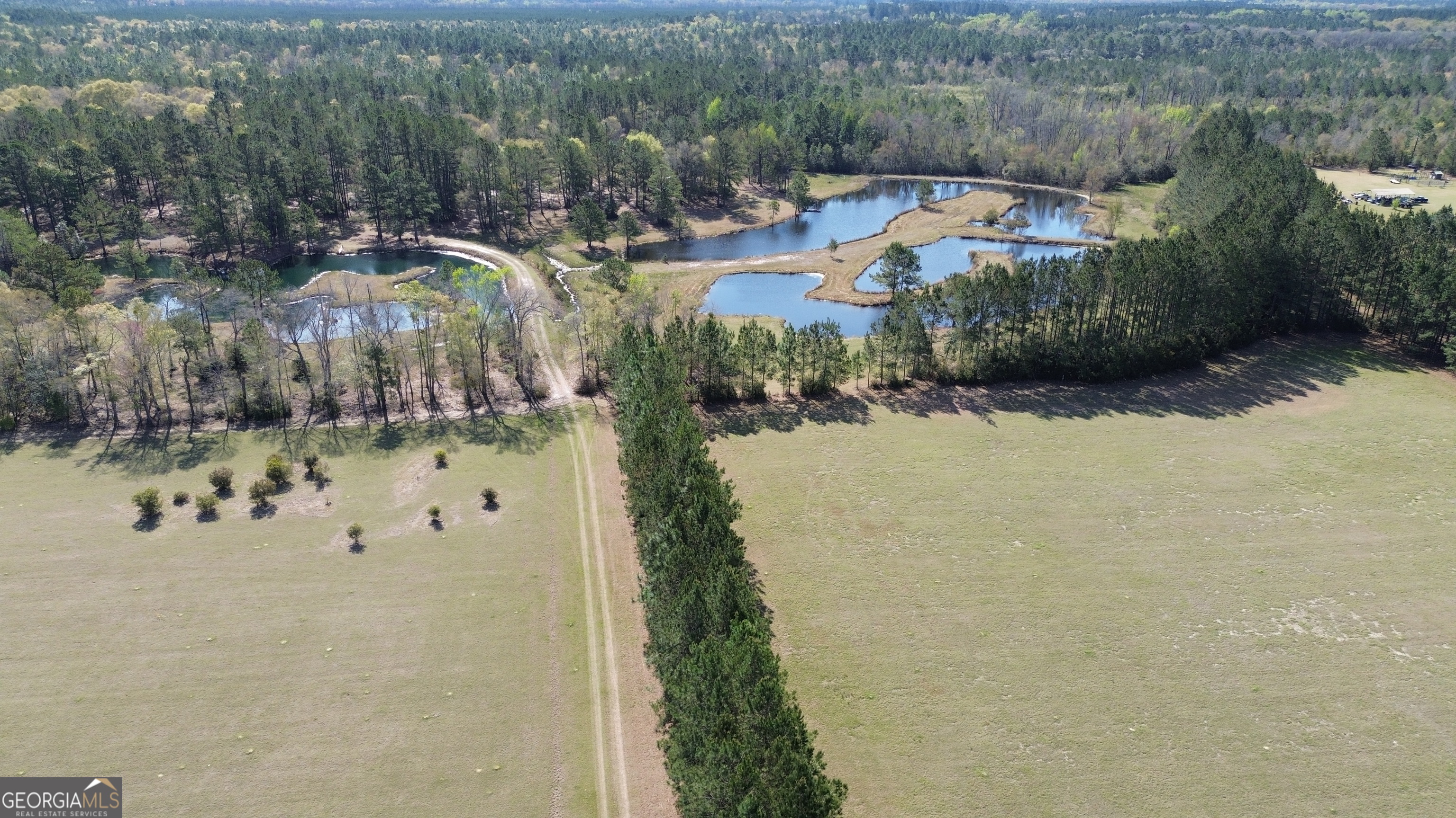 680 Porter's Landing Road Clyo, GA 31303 - Photo 34 of 50 a view of outdoor space and yard