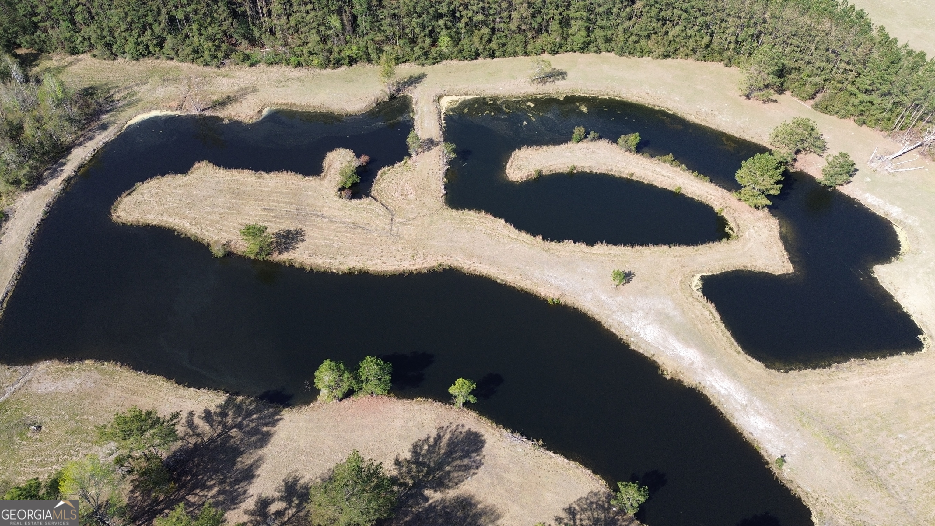 680 Porter's Landing Road Clyo, GA 31303 - Photo 38 of 50 a picture of a lake view