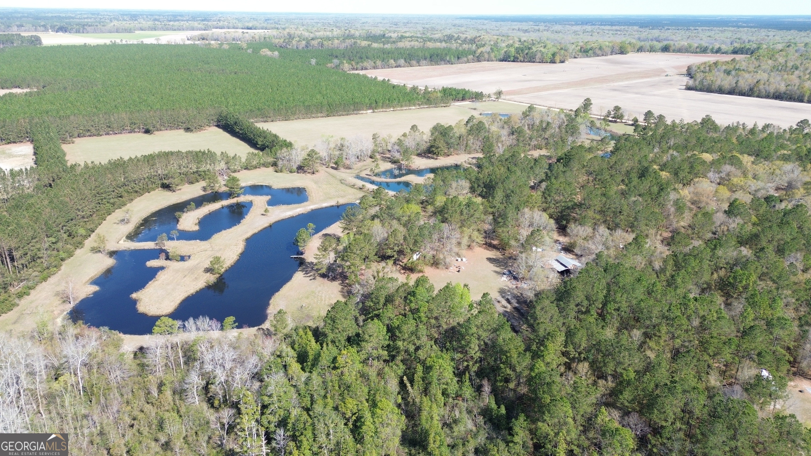680 Porter's Landing Road Clyo, GA 31303 - Photo 39 of 50 a view of lake with mountain