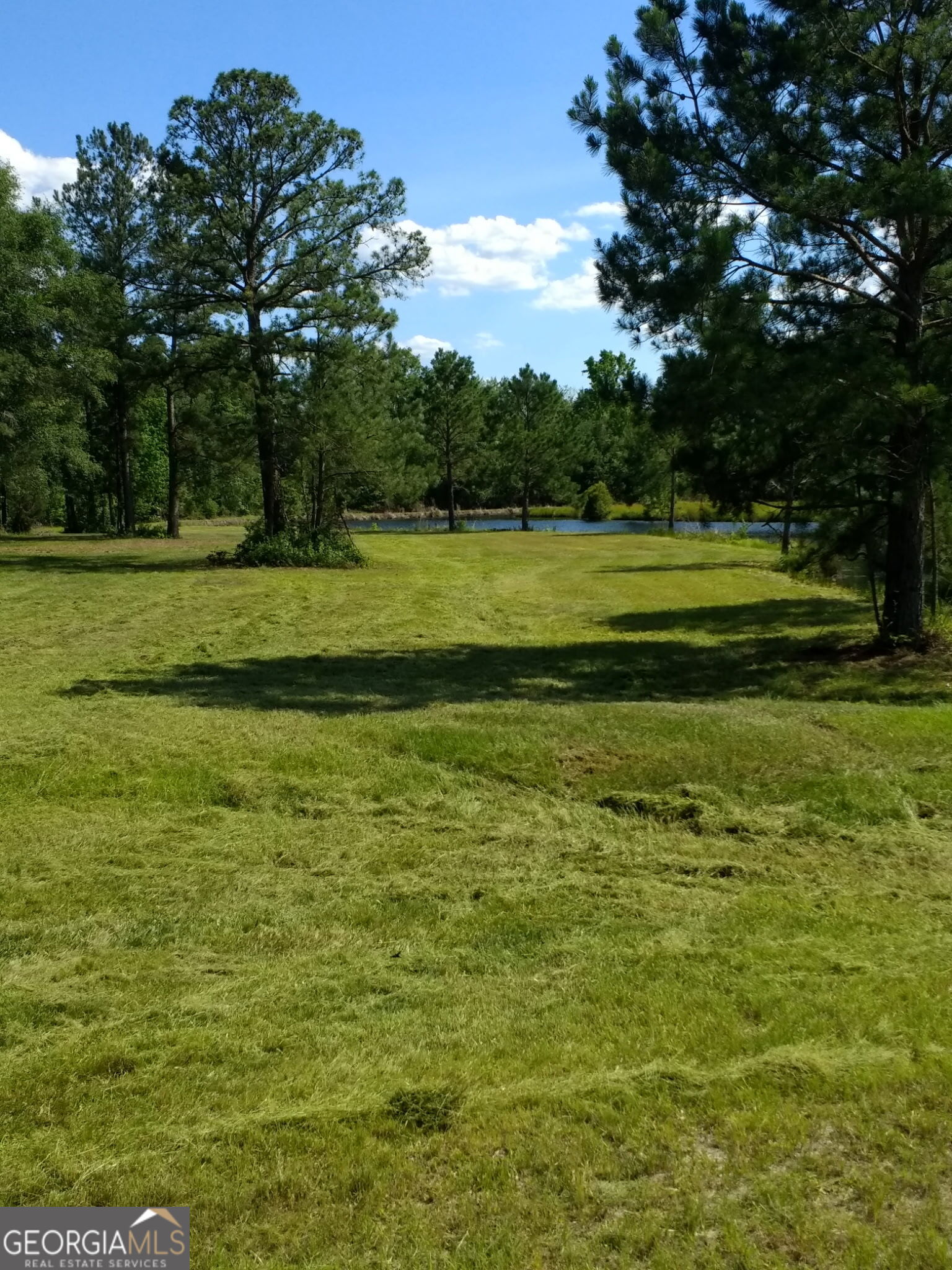680 Porter's Landing Road Clyo, GA 31303 - Photo 4 of 50 a view of a big yard with a large trees