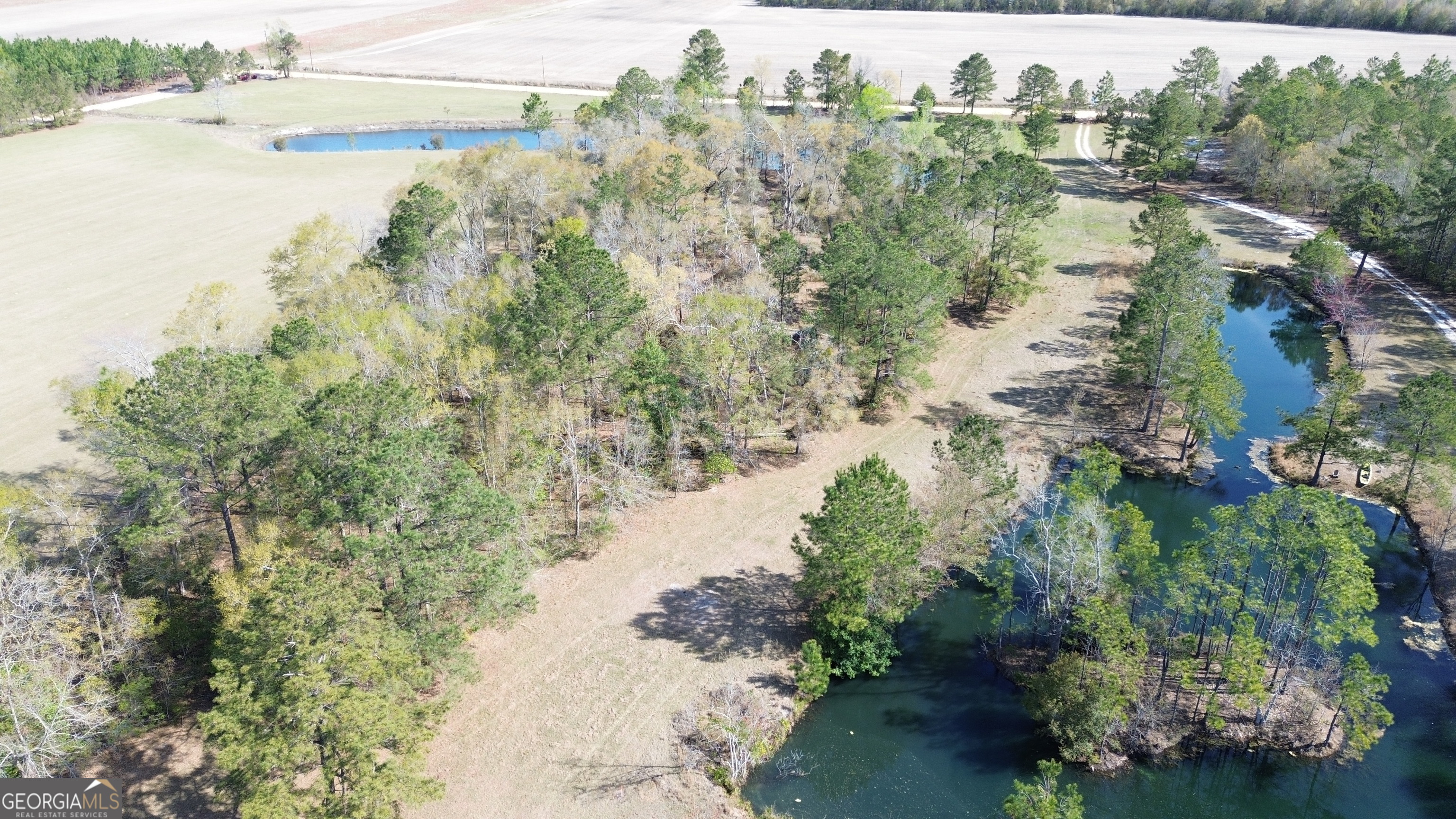 680 Porter's Landing Road Clyo, GA 31303 - Photo 41 of 50 a view of a lake with beach and outdoor space