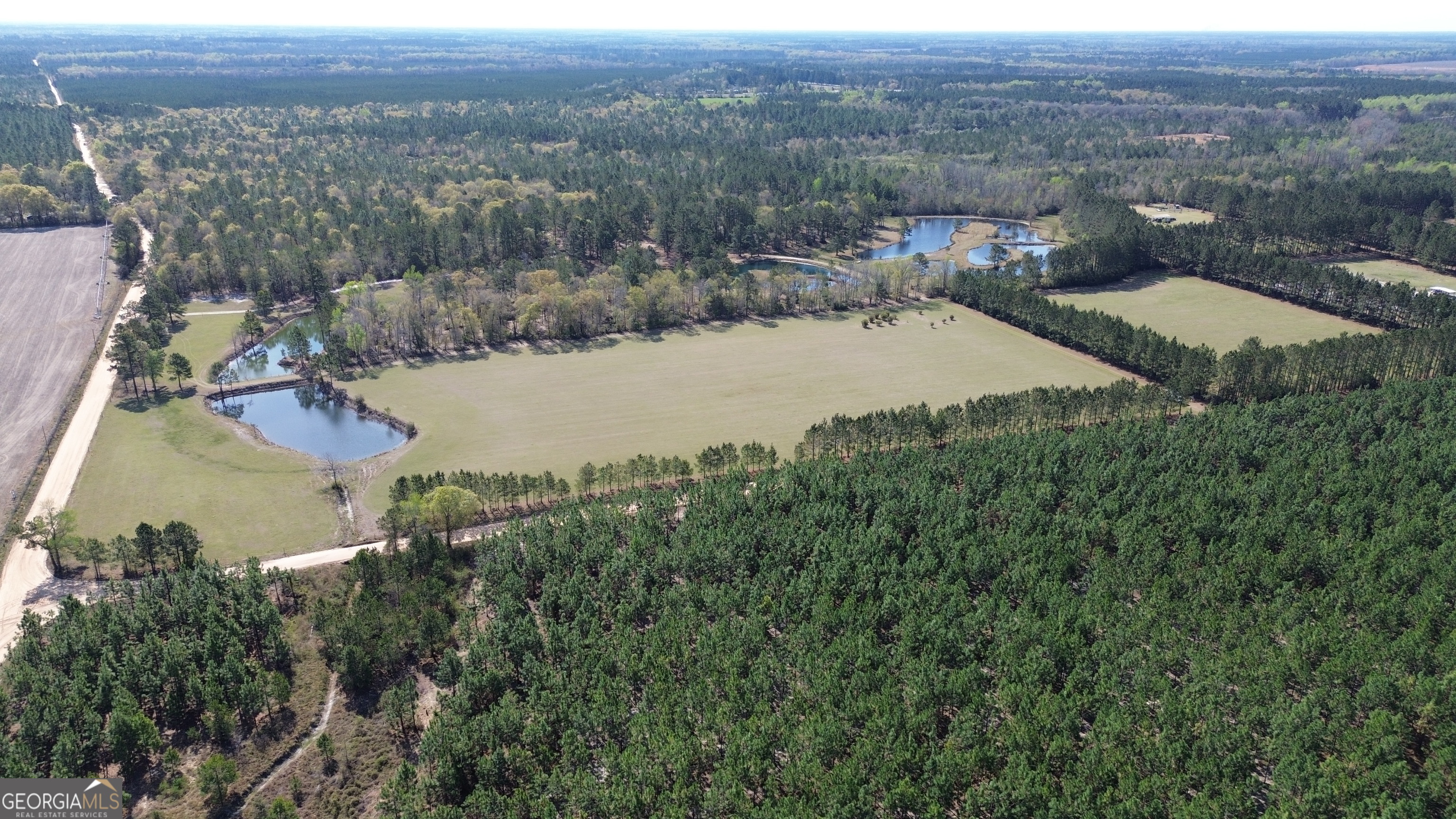 680 Porter's Landing Road Clyo, GA 31303 - Photo 42 of 50 an aerial view of residential houses with outdoor space and trees