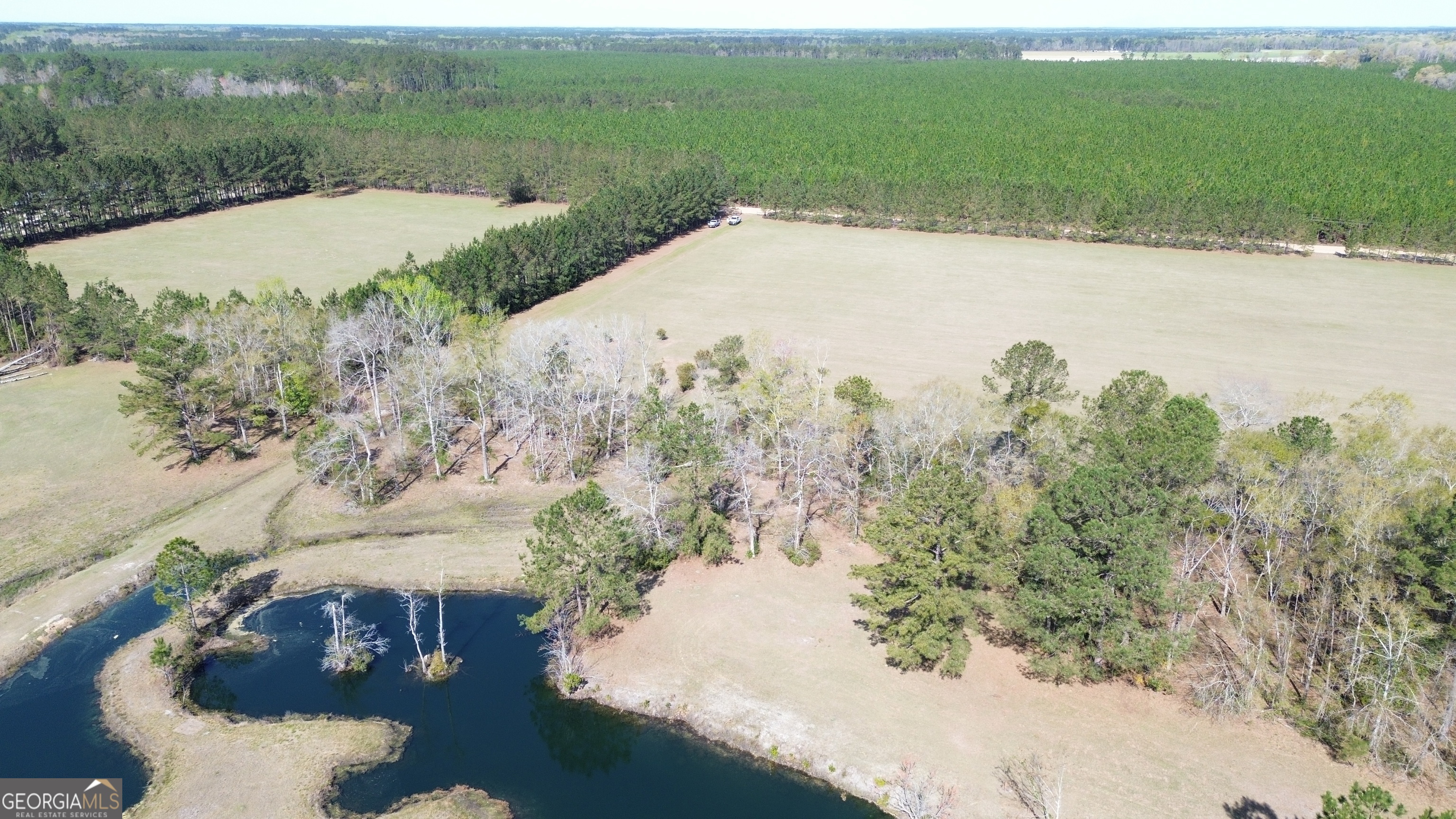 680 Porter's Landing Road Clyo, GA 31303 - Photo 43 of 50 a view of a lake with a mountain in the background
