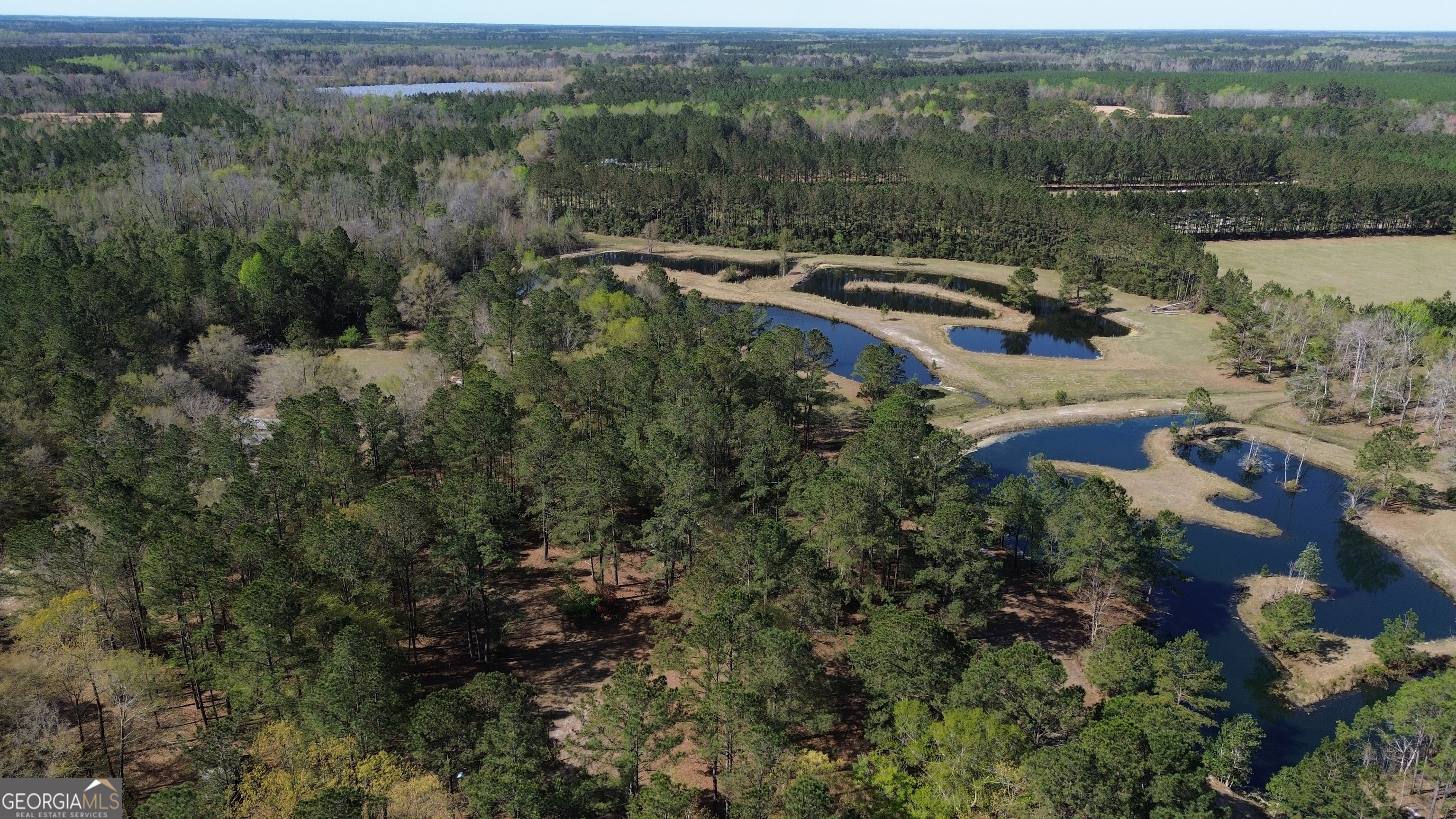680 Porter's Landing Road Clyo, GA 31303 - Photo 45 of 50 an aerial view of house with yard and outdoor seating