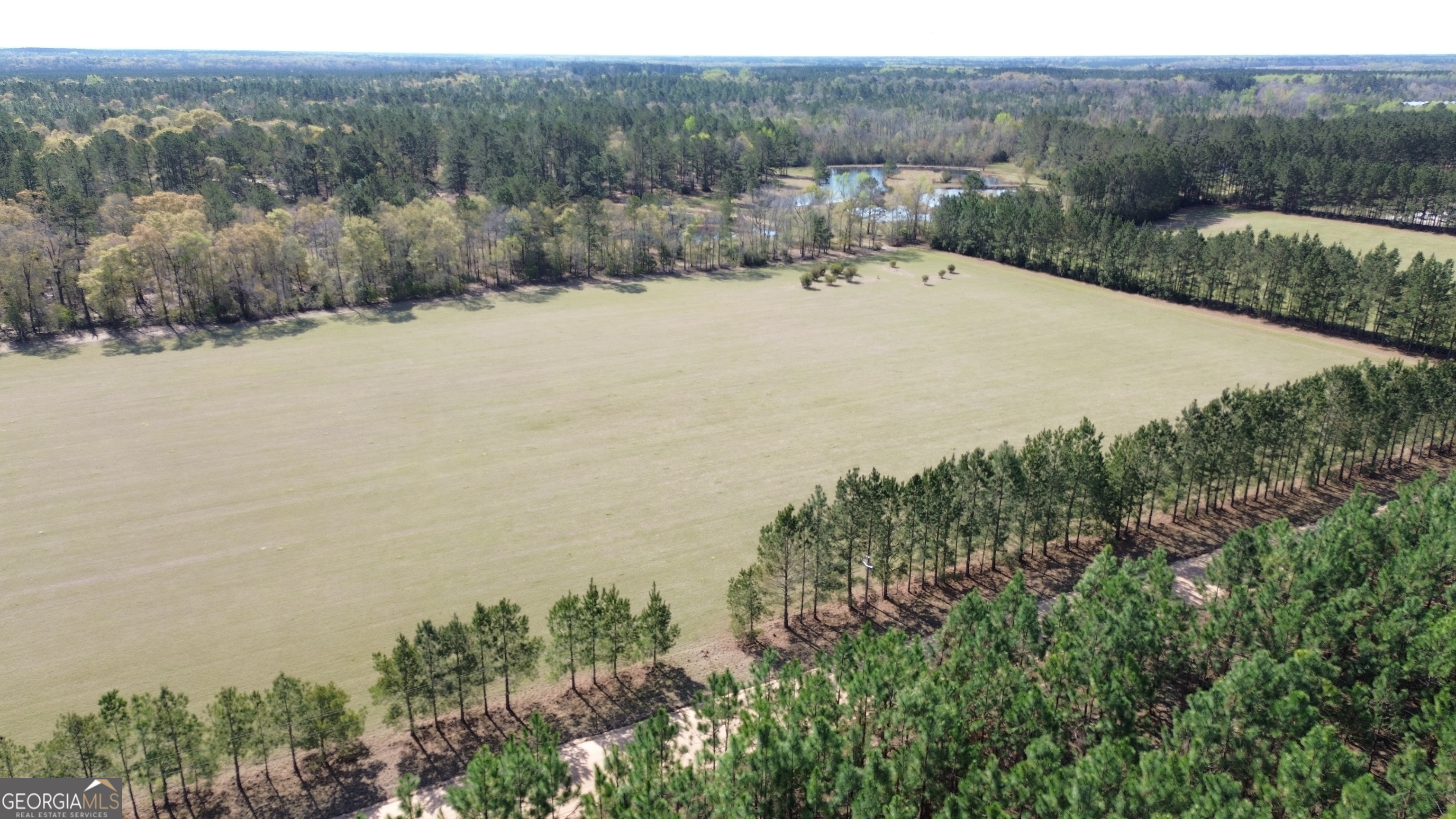 680 Porter's Landing Road Clyo, GA 31303 - Photo 47 of 50