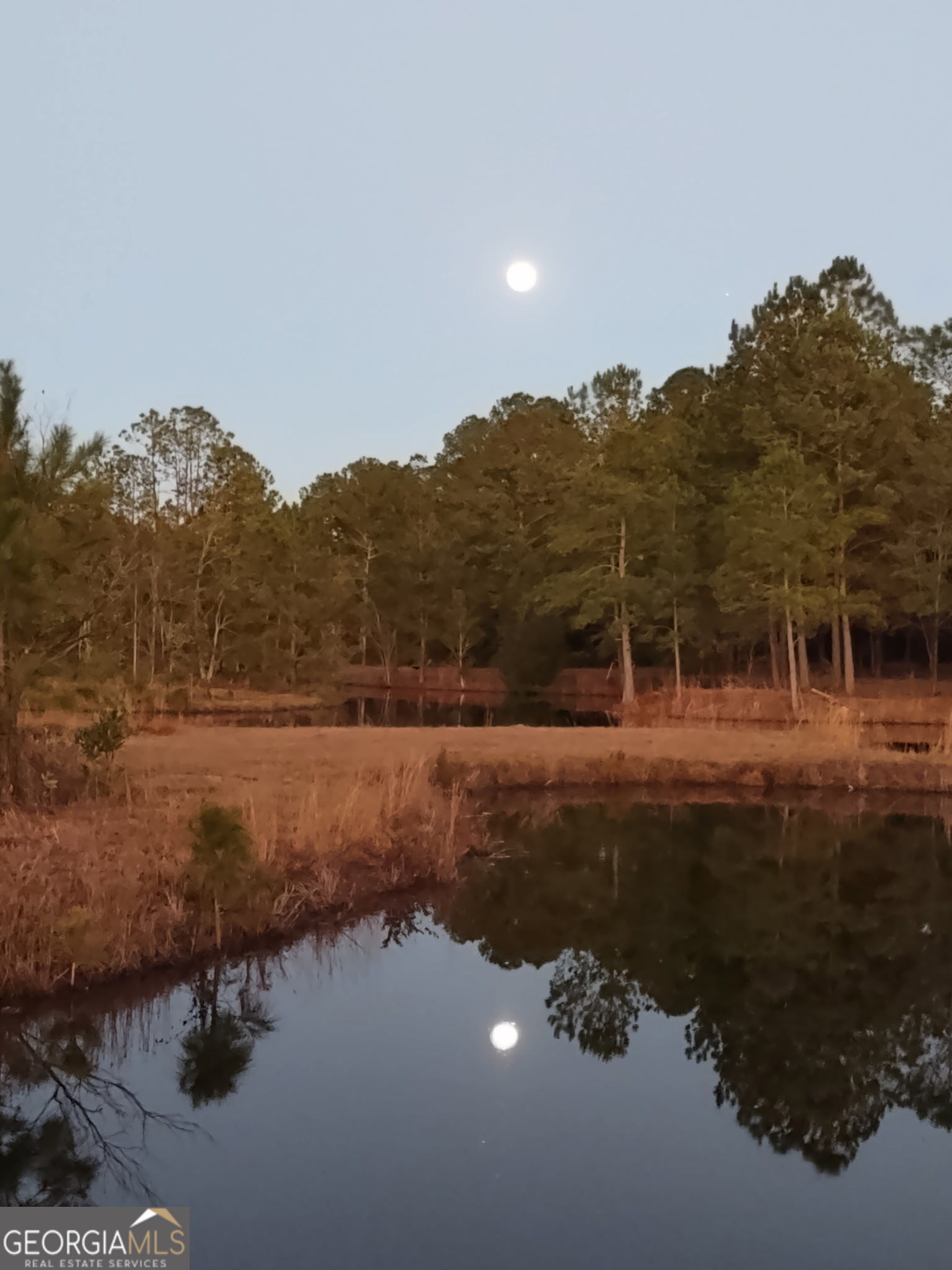 680 Porter's Landing Road Clyo, GA 31303 - Photo 6 of 50 a view of lake with mountain