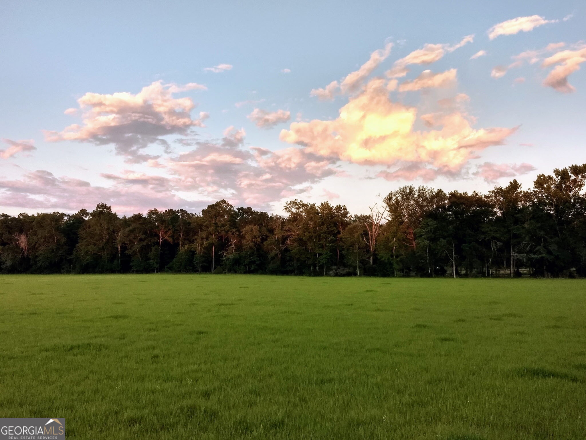 680 Porter's Landing Road Clyo, GA 31303 - Photo 7 of 50 a view of a grassy field