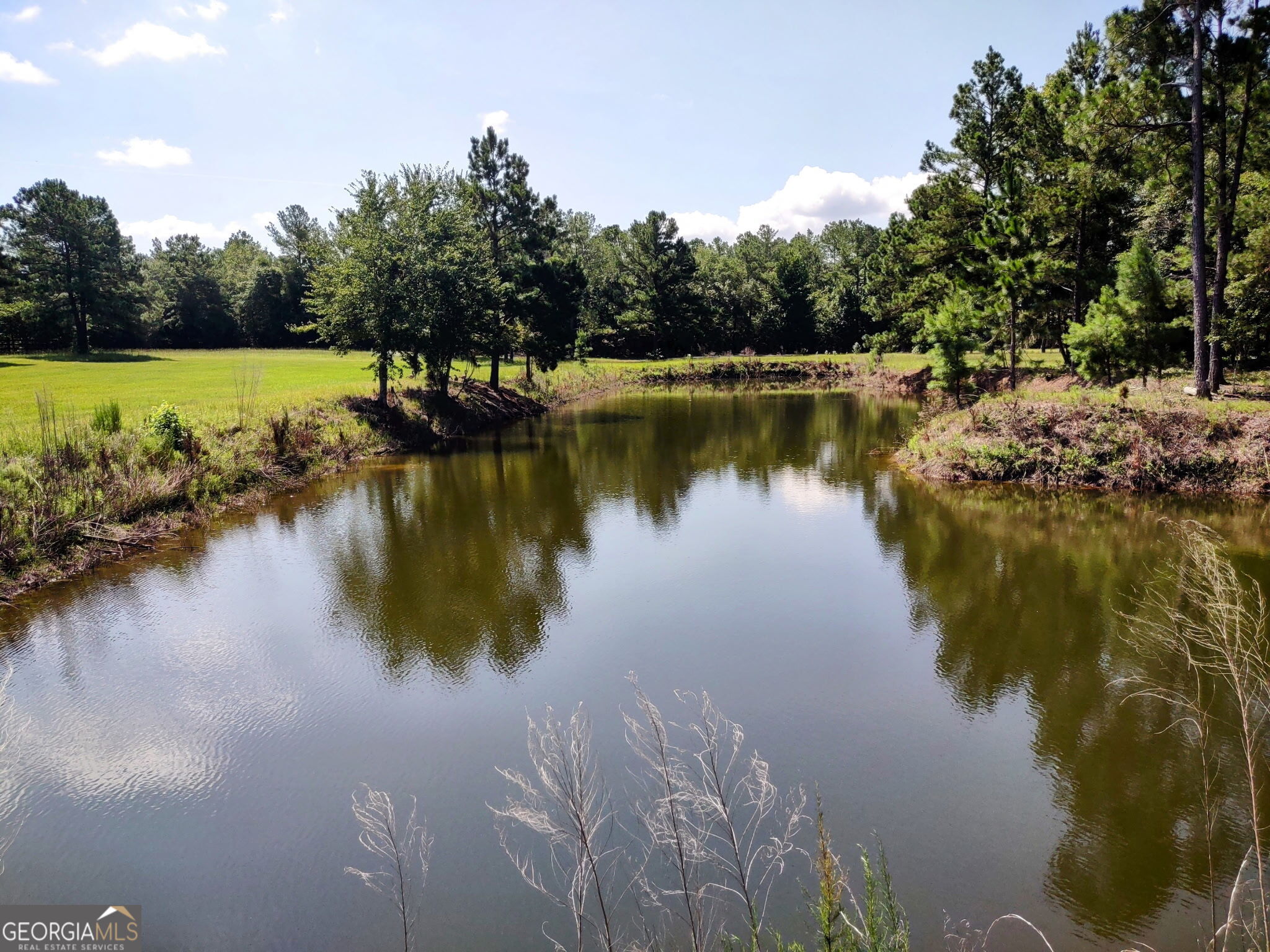 680 Porter's Landing Road Clyo, GA 31303 - Photo 8 of 50 a view of a lake with houses in the back