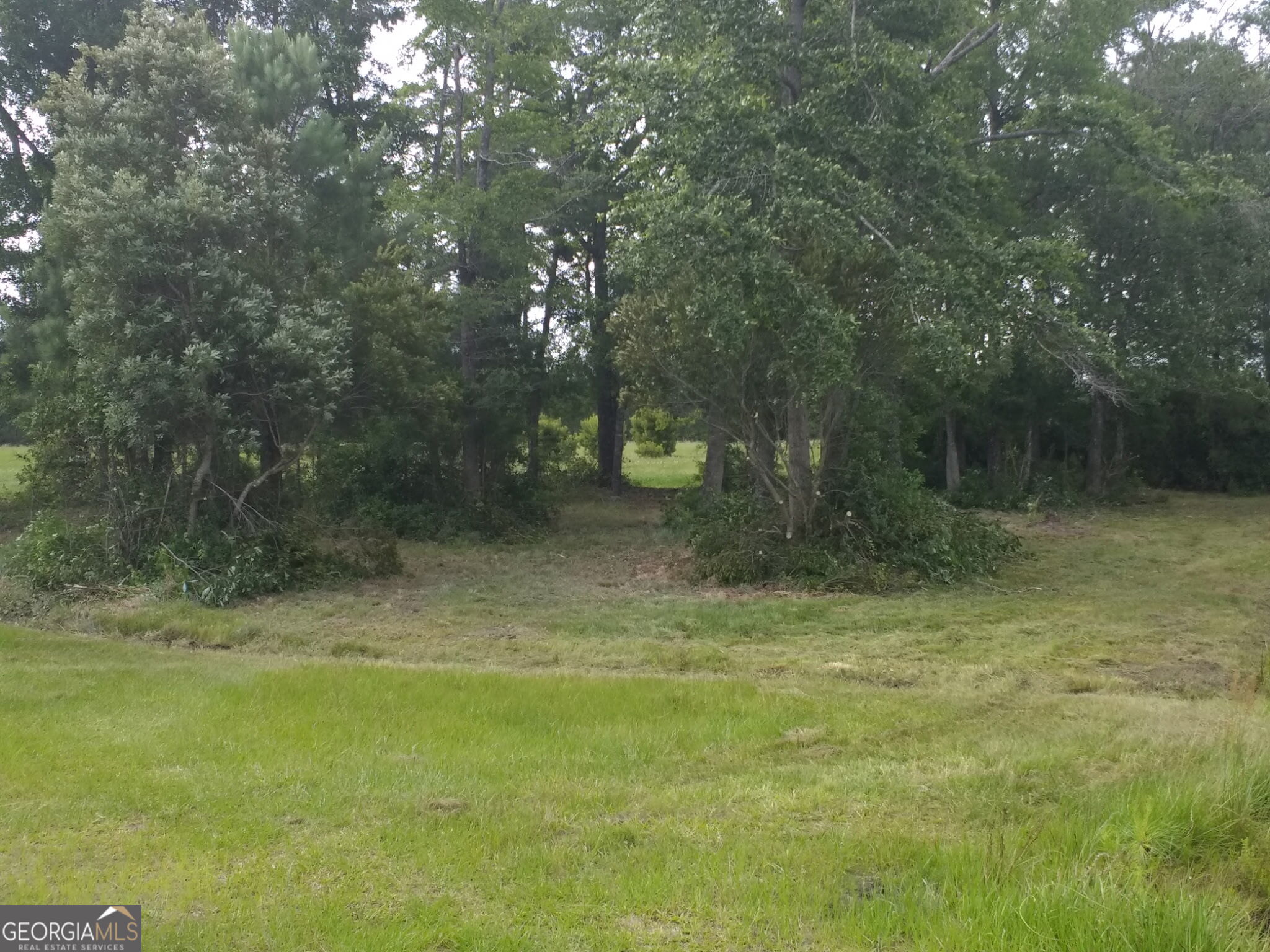 680 Porter's Landing Road Clyo, GA 31303 - Photo 9 of 50