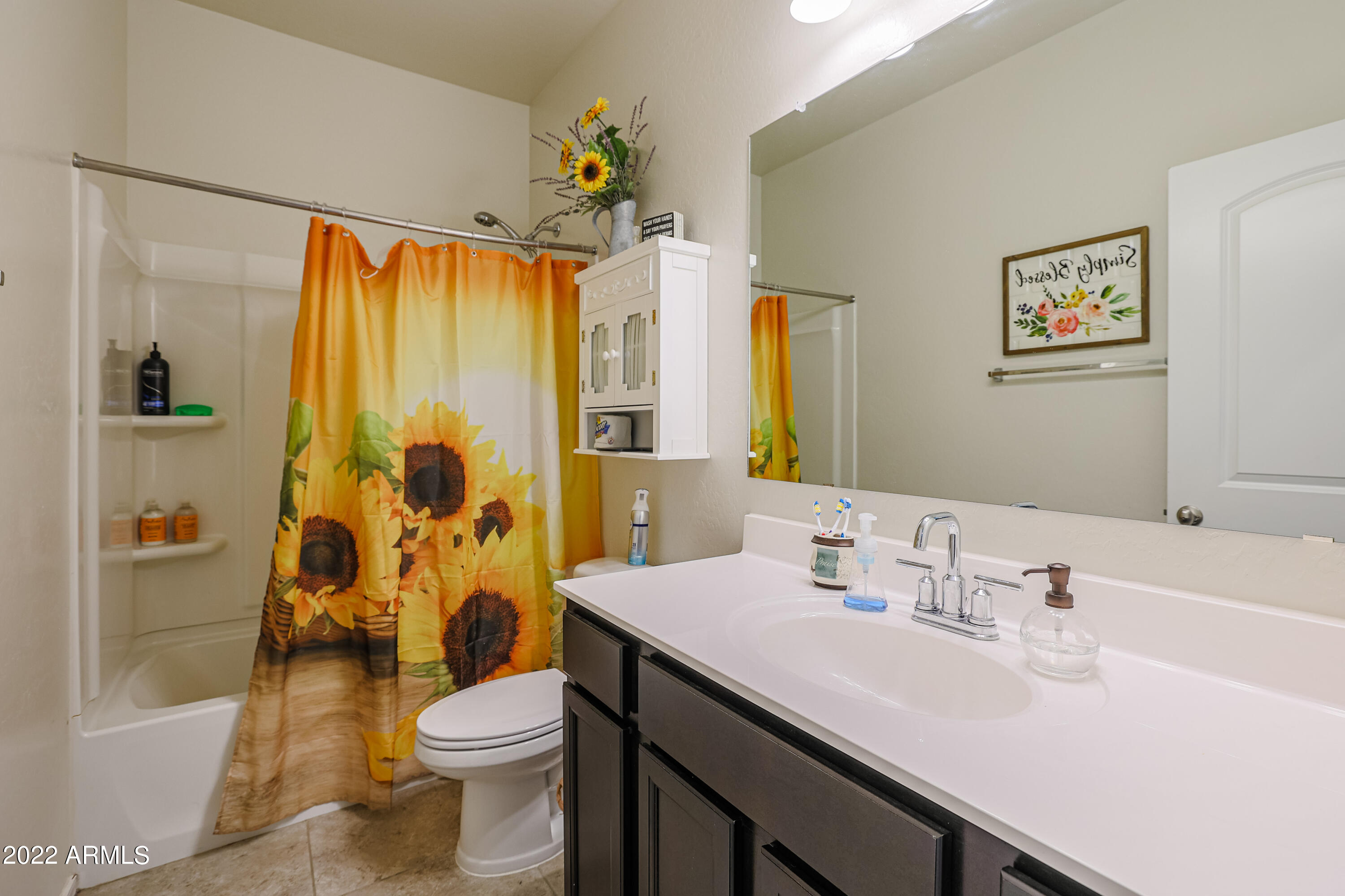 30981 West Osborn Road Buckeye, AZ 85396 - Photo 19 of 31 B (18)