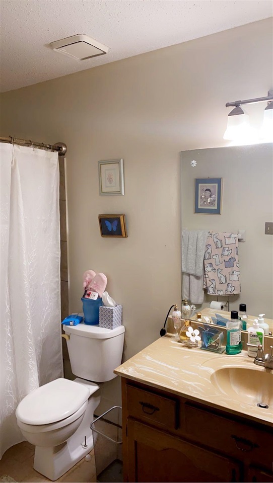 3894 Ross Road Memphis, TN 38115 - Photo 8 of 11 a bathroom with a sink a mirror and a toilet