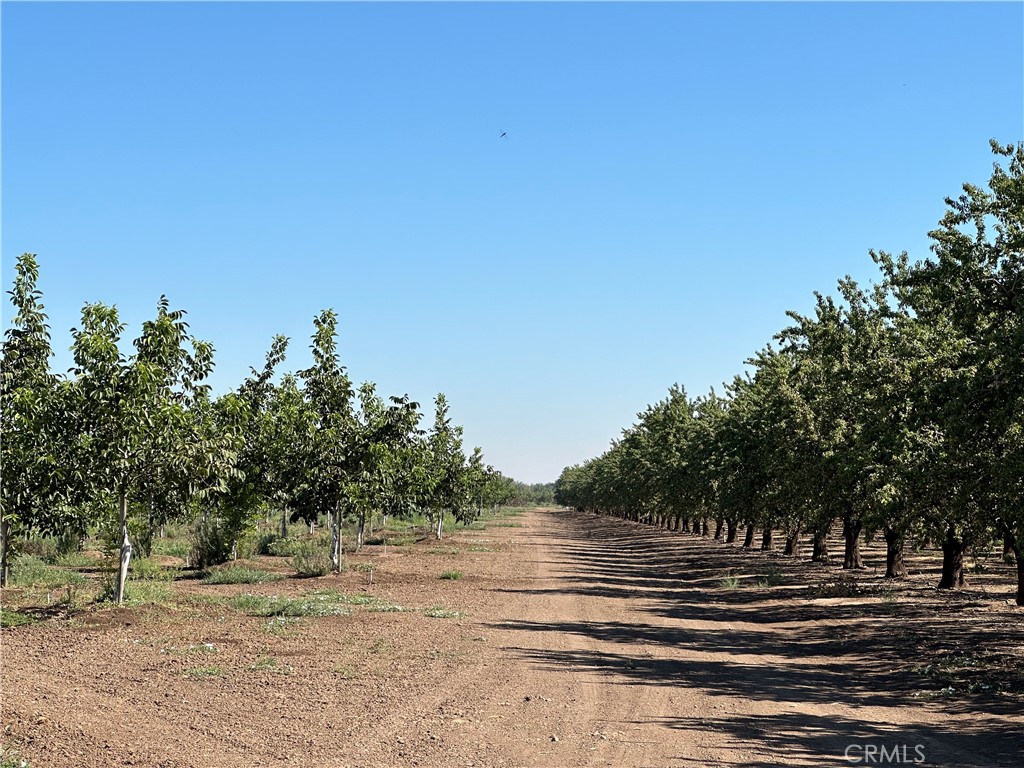 0 Kelly Lane West Chico, CA 95973 - Photo 13 of 22 a view of a yard