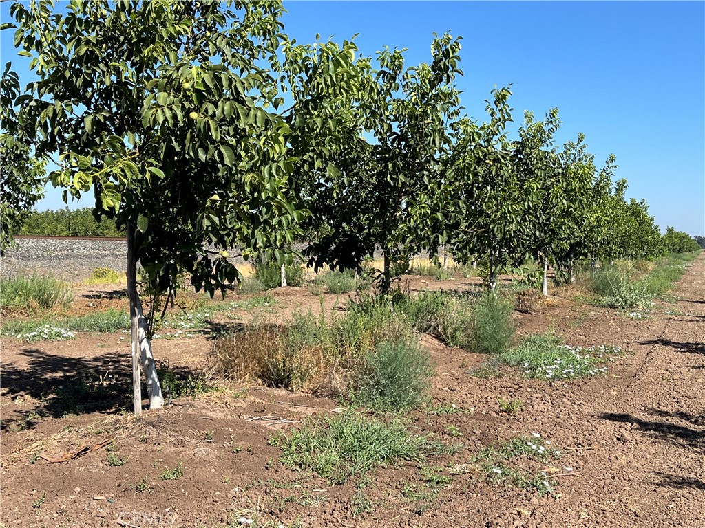 0 Kelly Lane West Chico, CA 95973 - Photo 17 of 22 a view of outdoor space with trees all around