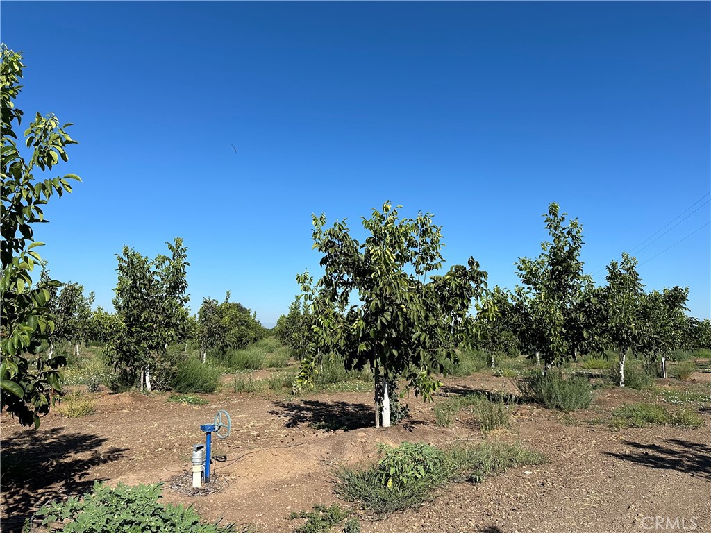 0 Kelly Lane West Chico, CA 95973 - Photo 7 of 22 a view of a dirt road with trees in the background