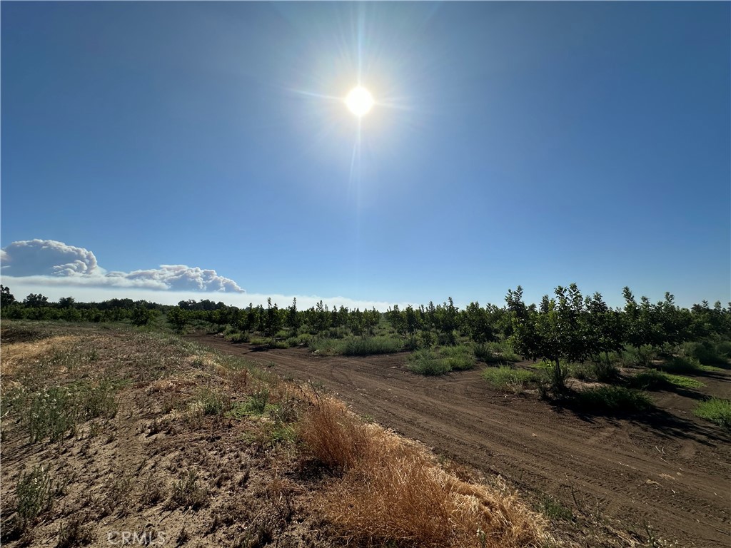 0 Kelly Lane West Chico, CA 95973 - Photo 10 of 22 a view of a lake in middle of forest