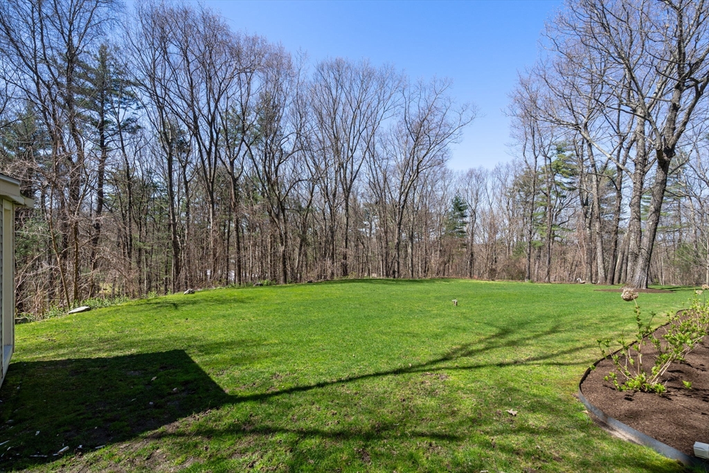 47 Brewster Road Sudbury, MA 01776 - Photo 37 of 41 a view of a grassy field with trees