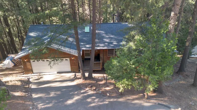 a view of a yard with plants and large trees