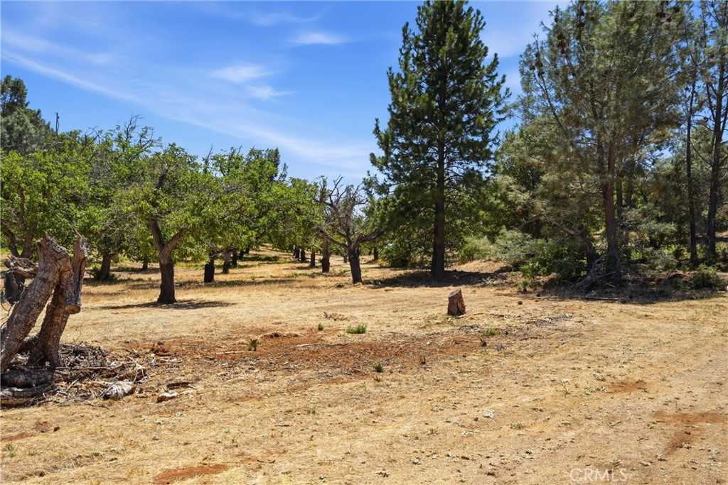 13420 Point Lakeview Road Lower Lake, CA 95457 - Photo 56 of 65