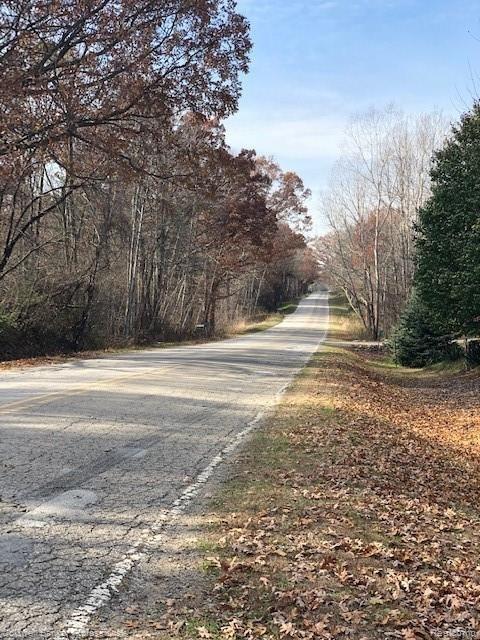 72 Barnes Lake Road North Branch, MI 48461 - Photo 39 of 40 IMG_3954.jpg