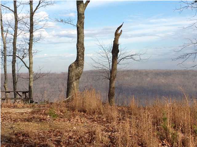 20 Old Harris Turnpike Road Jasper, TN 37347 - Photo 1 of 15 Primary Photo