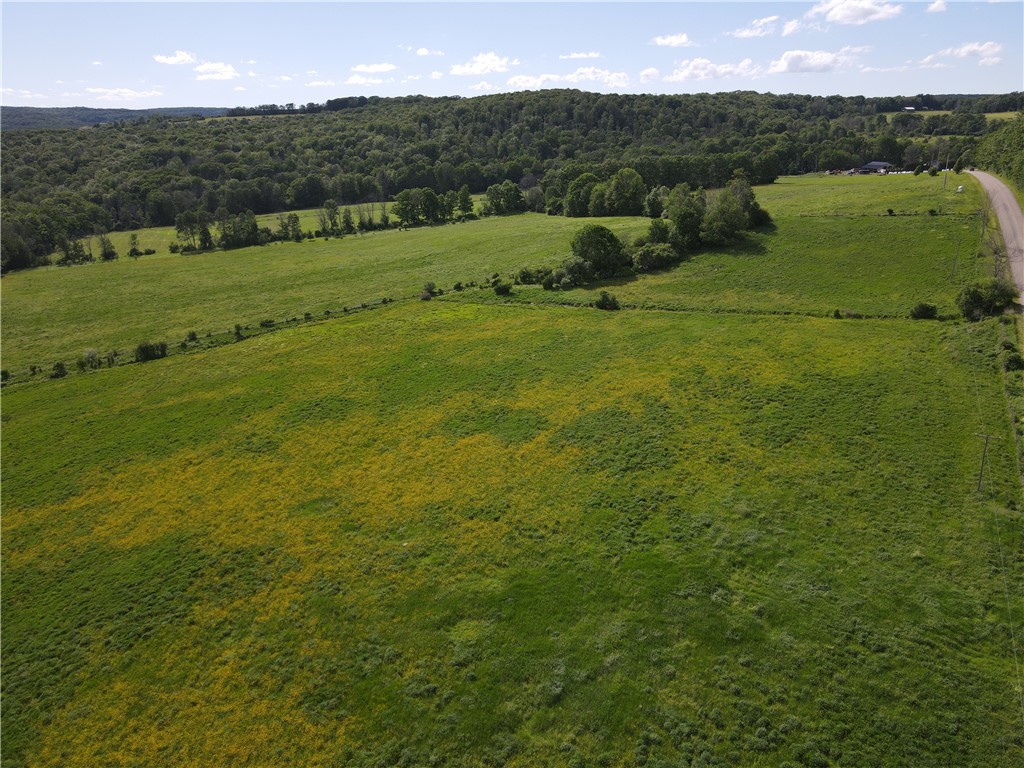 5243 Reed Road Friendship, NY 14739 - Photo 43 of 50