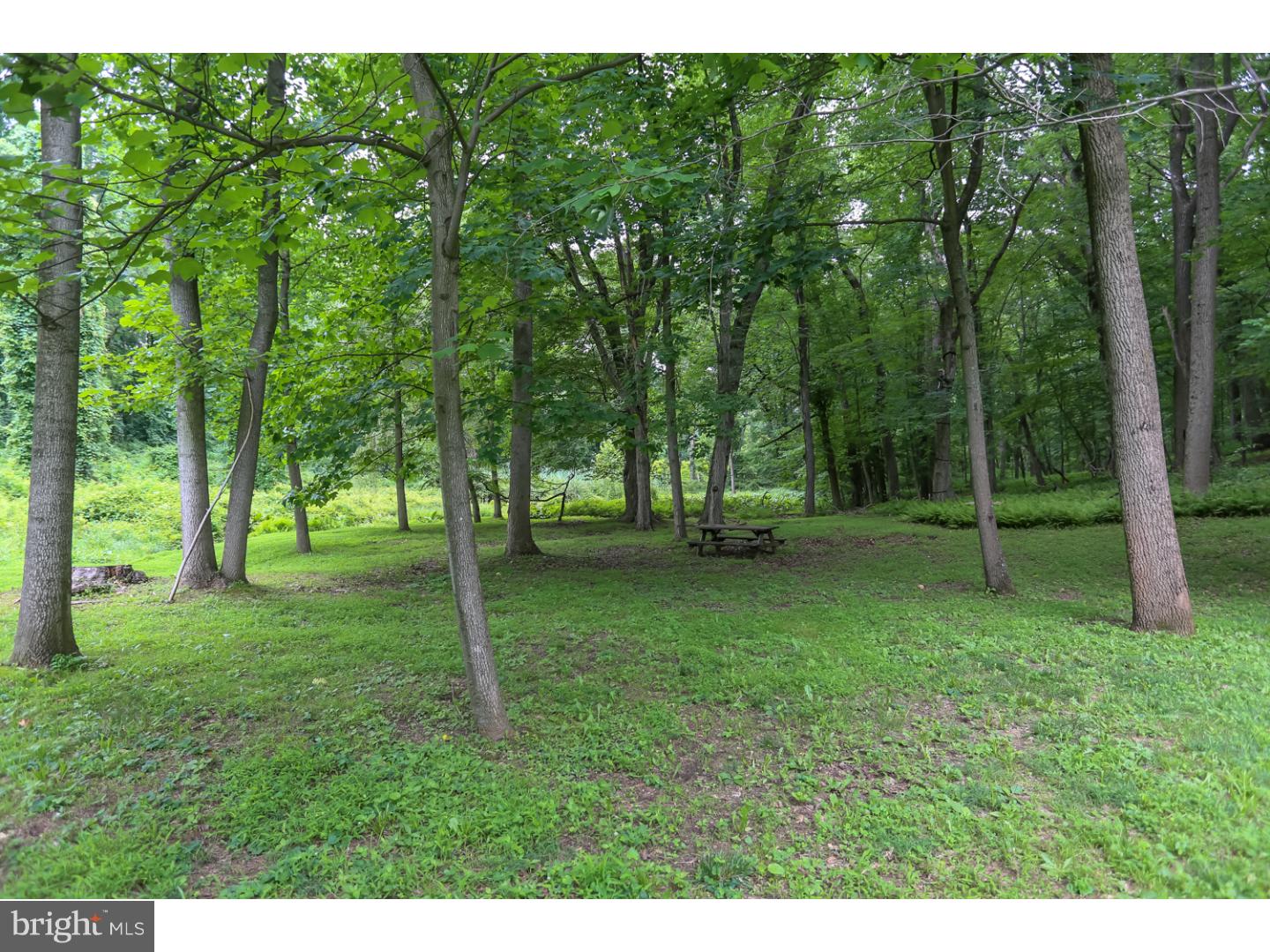 216 Marple Road Haverford, PA 19041 - Photo 22 of 25 Gallery Image 22
