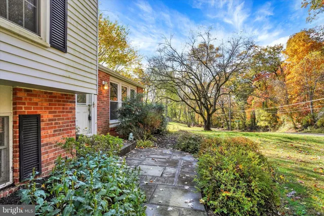 a view of a backyard with plants and large trees