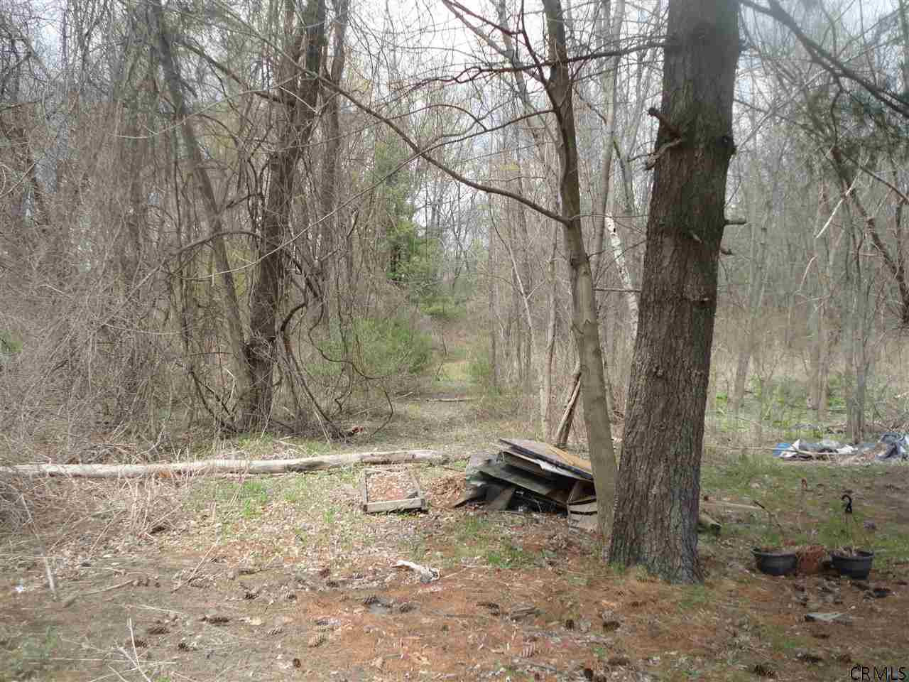 0 Firehouse Road Halfmoon, NY 12065 - Photo 2 of 2 Photo 2